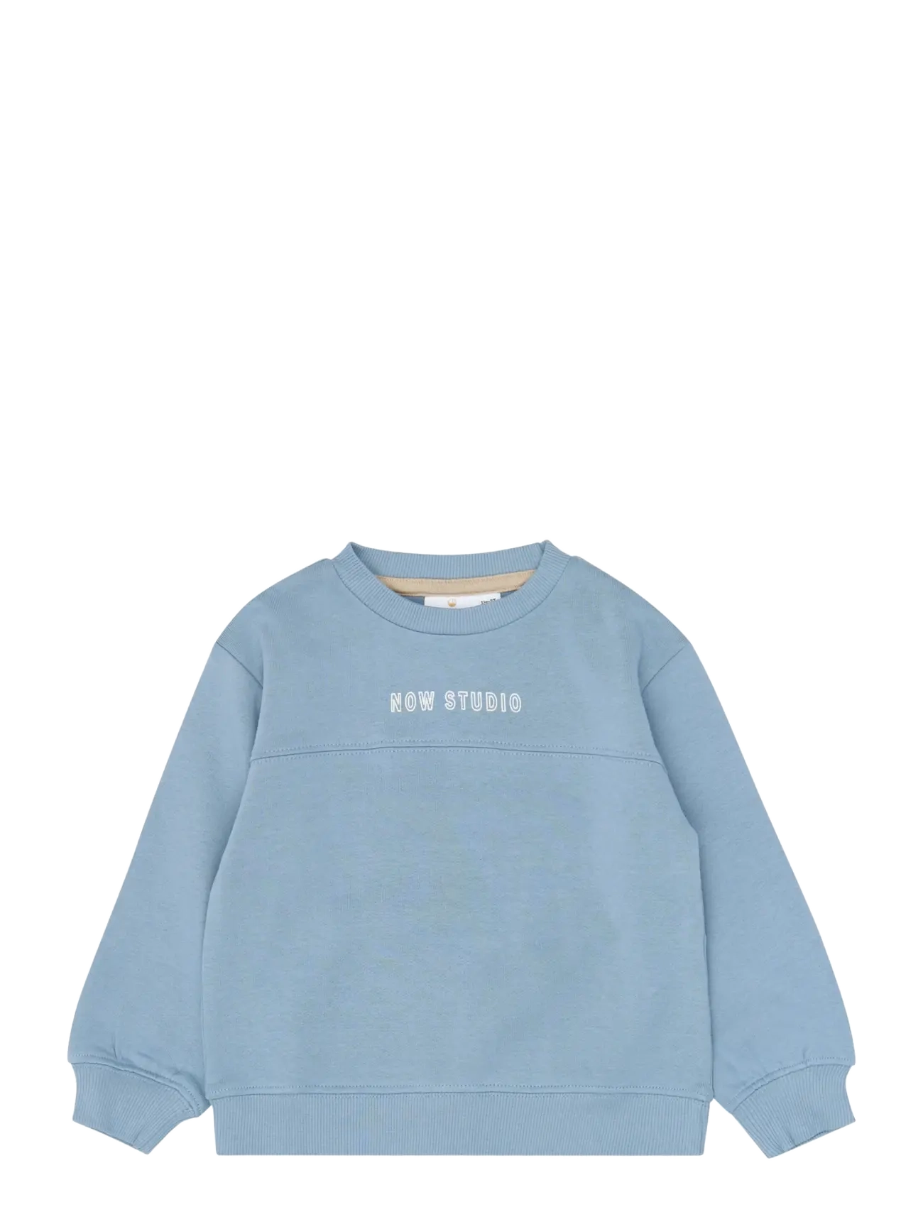 The New TNSTVerylo OS Sweatshirt - The New - ASHLEY BLUE / blue