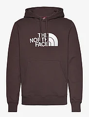 The North Face - M DREW PEAK PULLOVER HOODIE - EU - kapuutsiga dressipluusid - coal brown - 0