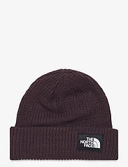 The North Face - SALTY DOG LINED BEANIE - najniższe ceny - coal brown - 0