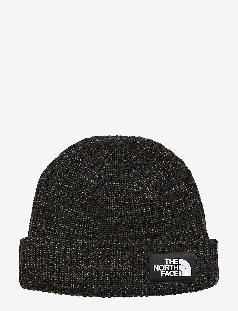 The North Face - SALTY LINED BEANIE - tnf black - 1