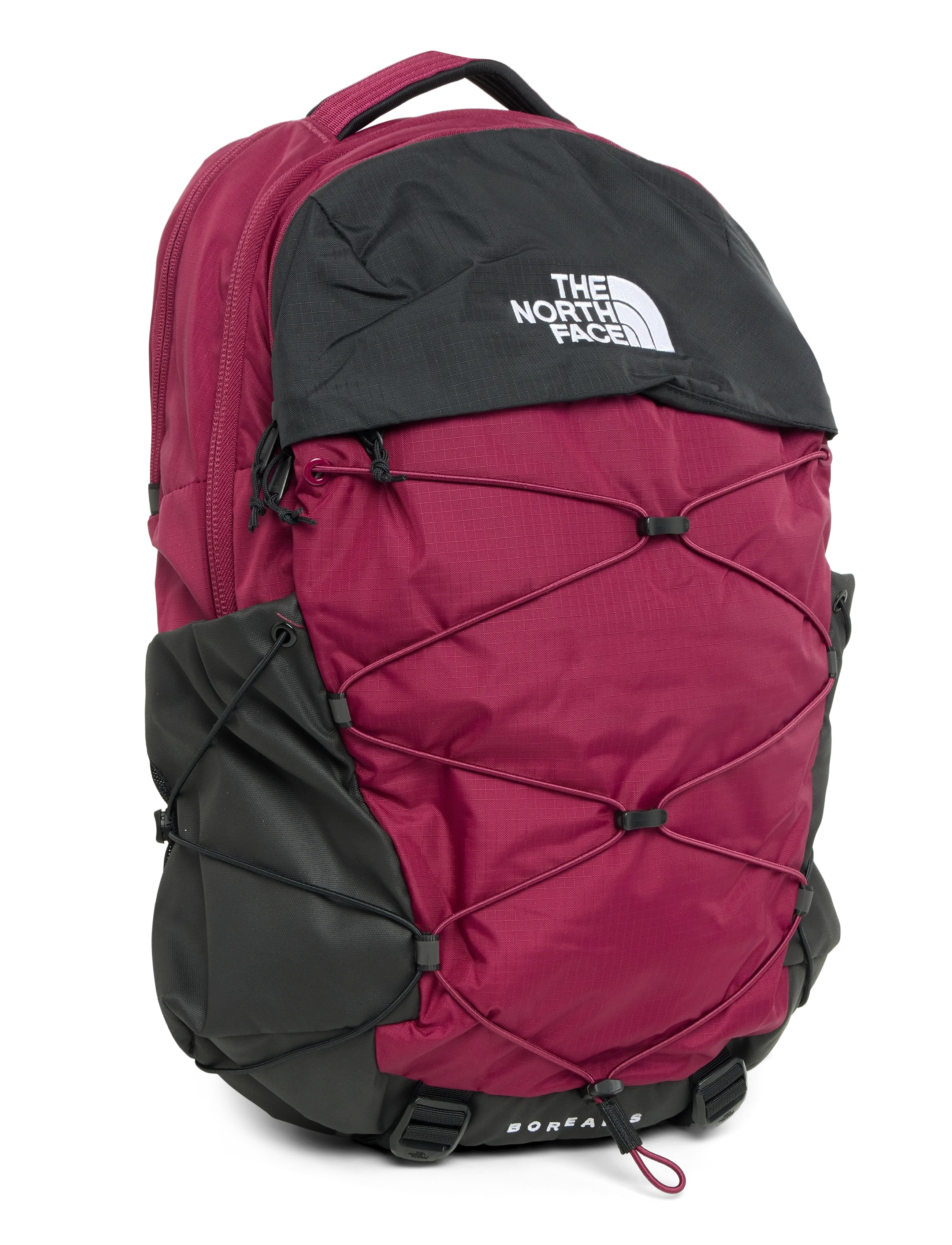 The North Face - BOREALIS - sport-rucksäcke - burgundy crush/tnf blac - 5
