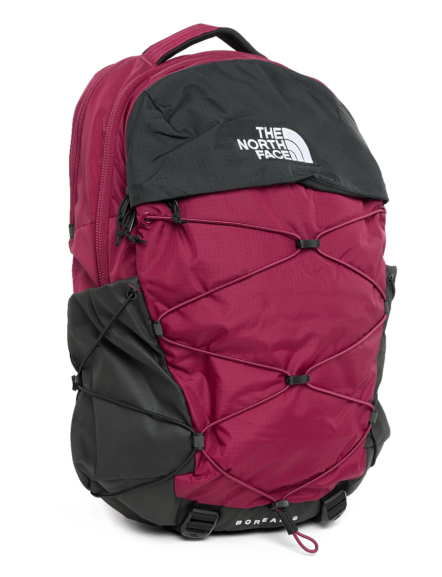 The North Face - BOREALIS - sportsrygsække - burgundy crush/tnf blac - 5