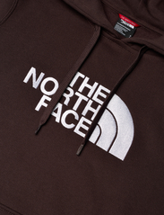 The North Face - W DREW PEAK PULLOVER HOODIE - EU - džemperiai su gobtuvu - coal brown - 2