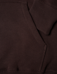 The North Face - W DREW PEAK PULLOVER HOODIE - EU - džemperiai su gobtuvu - coal brown - 3