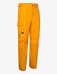 The North Face - M FREEDOM PANT - skibroeken - summit gold - 2