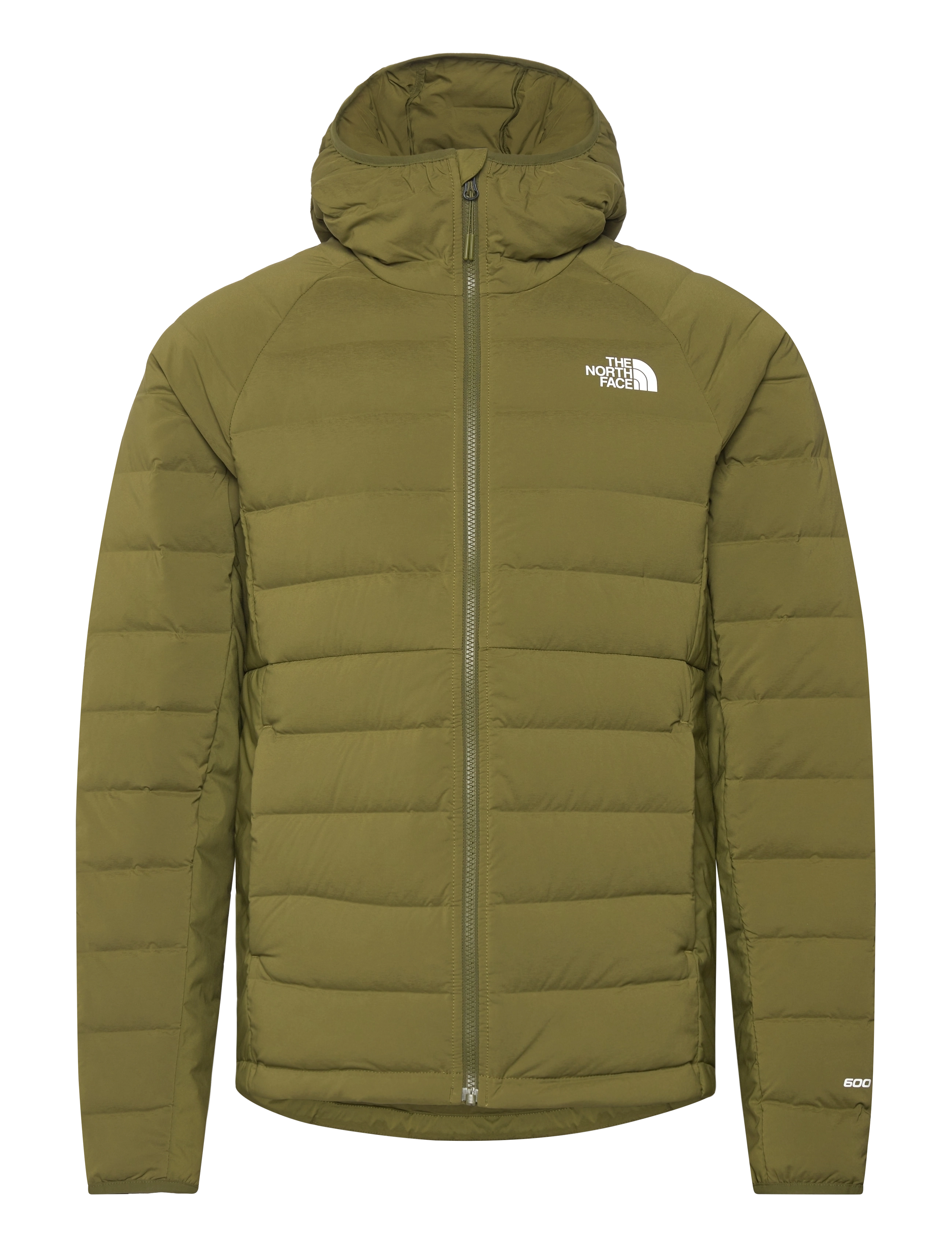 FOREST OLIVE