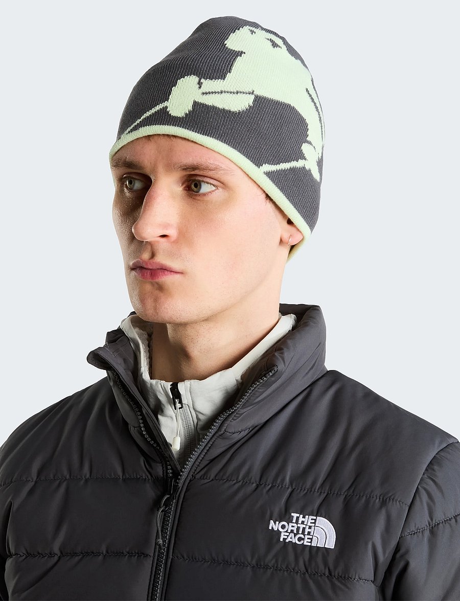 The North Face - REVERSIBLE HIGHLINE BEANIE - alltags-style - anthracite grey/calcifi - 2