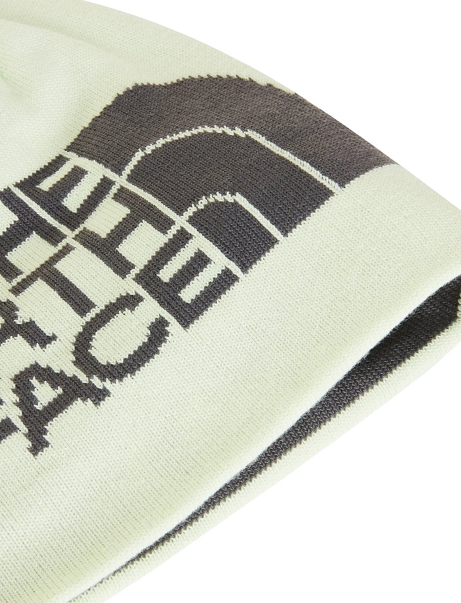 The North Face - REVERSIBLE HIGHLINE BEANIE - alltags-style - anthracite grey/calcifi - 3