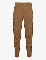 The North Face - M HORIZON PANT - EU - outdoor pants - utility brown - 0