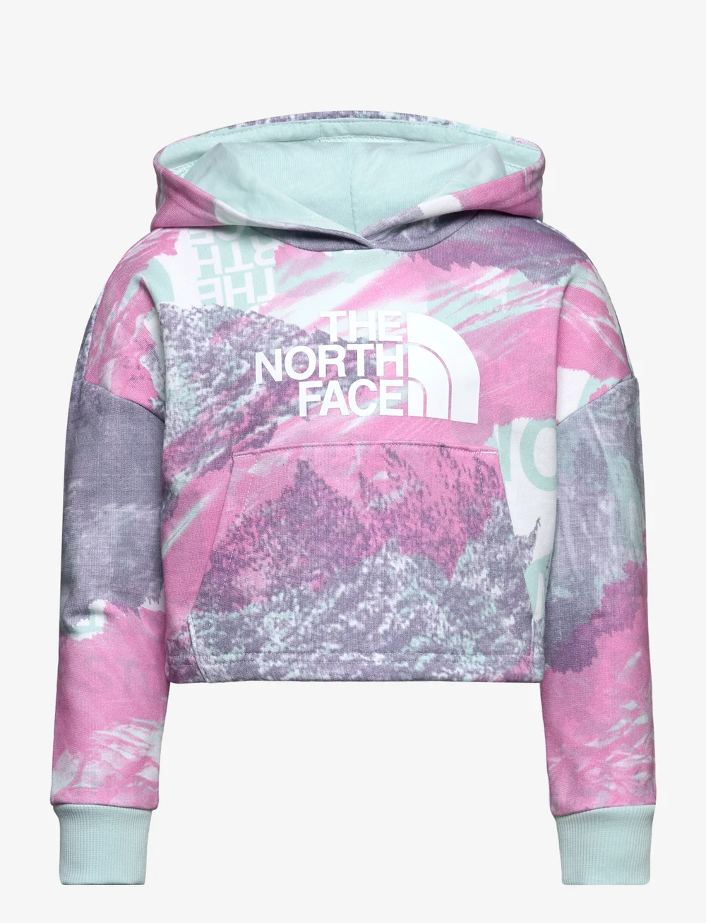 Light pink north face 2025 hoodie