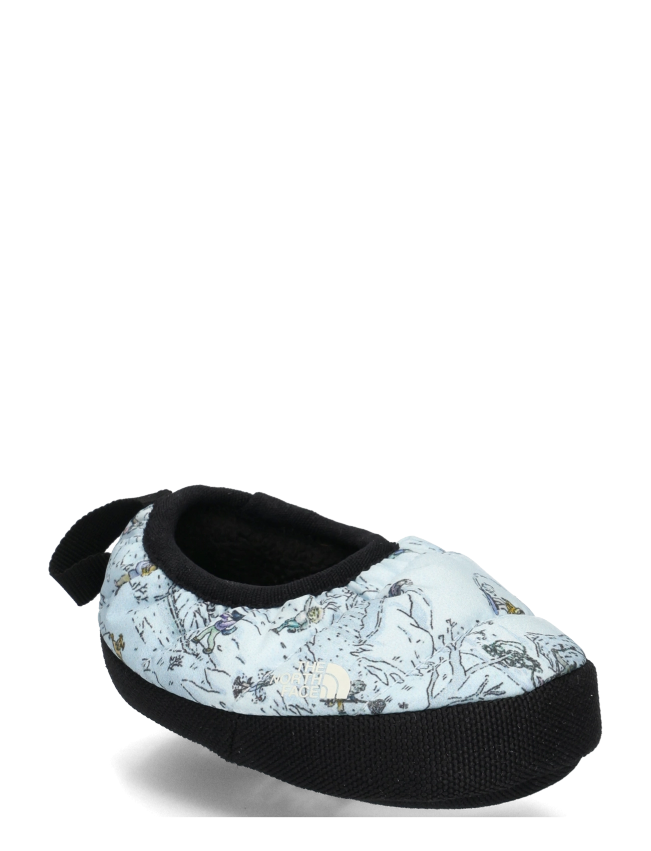 TNF WINTER DOGS PRINT/T