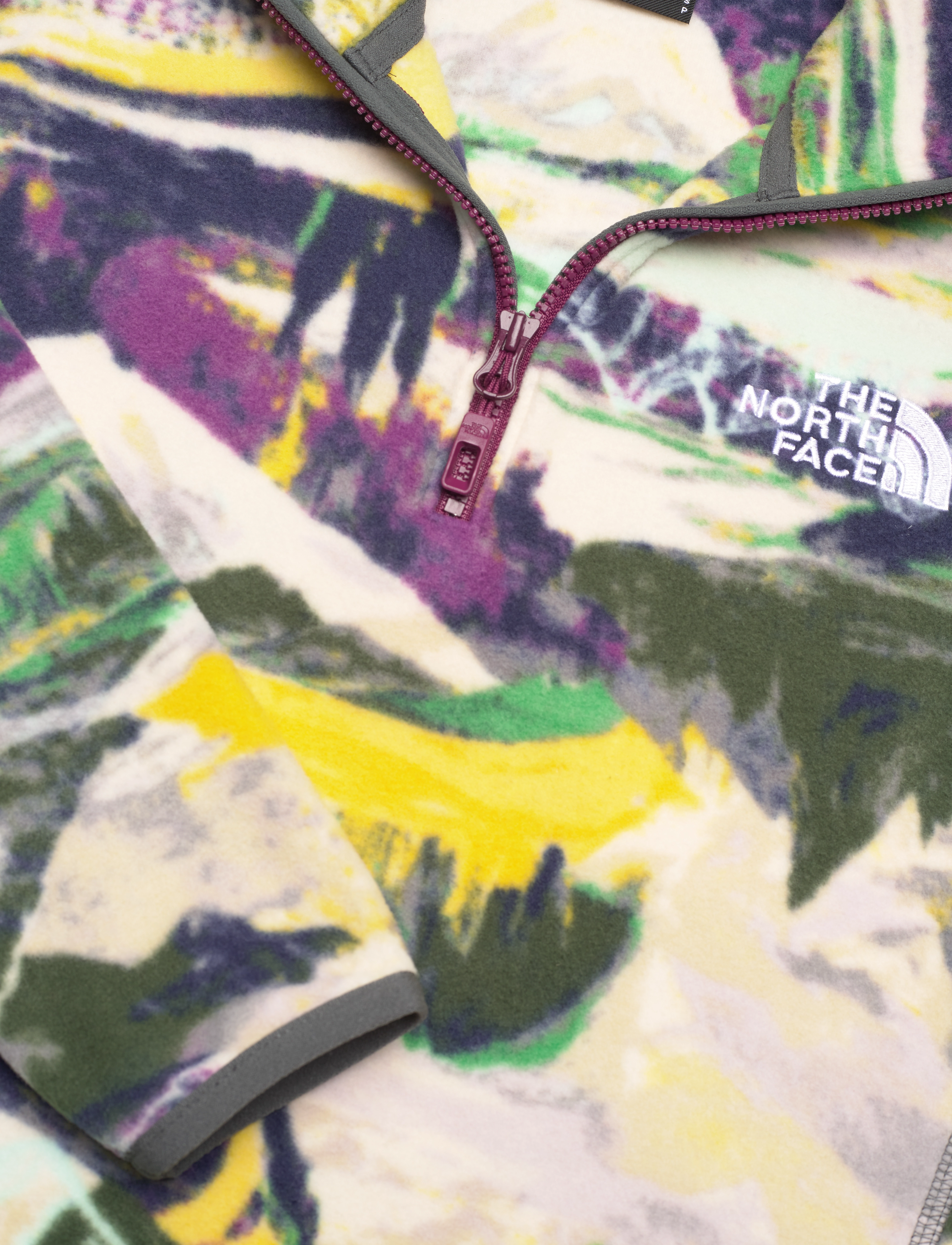 The North Face - W 100 GLACIER PRINTED 1/4 ZIP - EU - black currant purple tr - 2