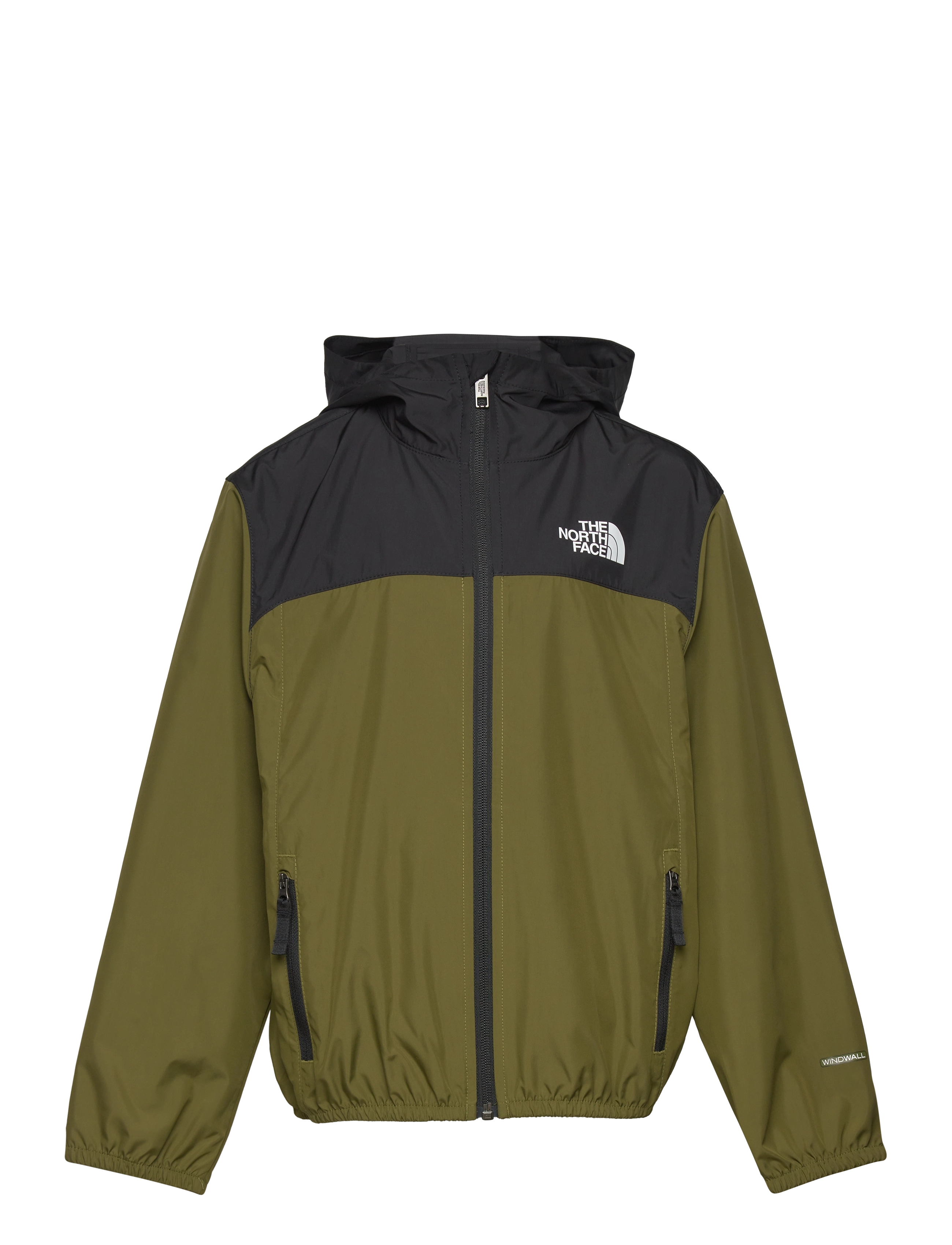 FOREST OLIVE