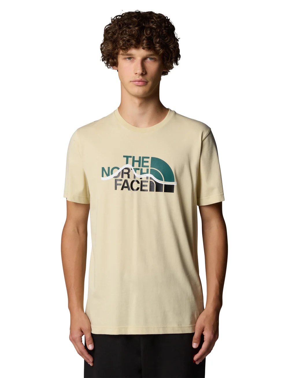 The North Face - M SS MOUNTAIN LINE TEE - t-shirts - beige - 0