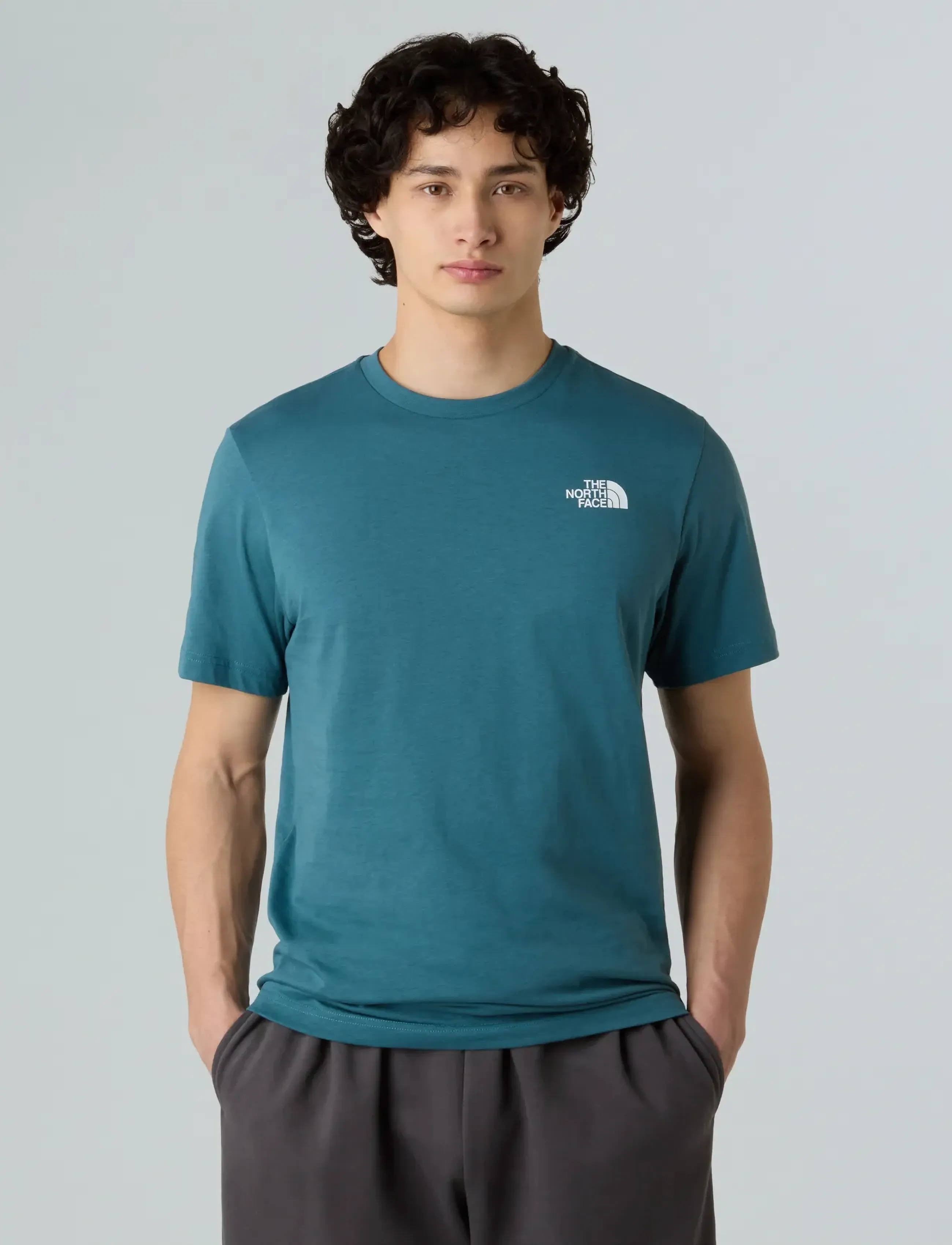 The North Face - M S/S BOX NSE CELEBRATION TEE - oberteile & t-shirts - space - 3