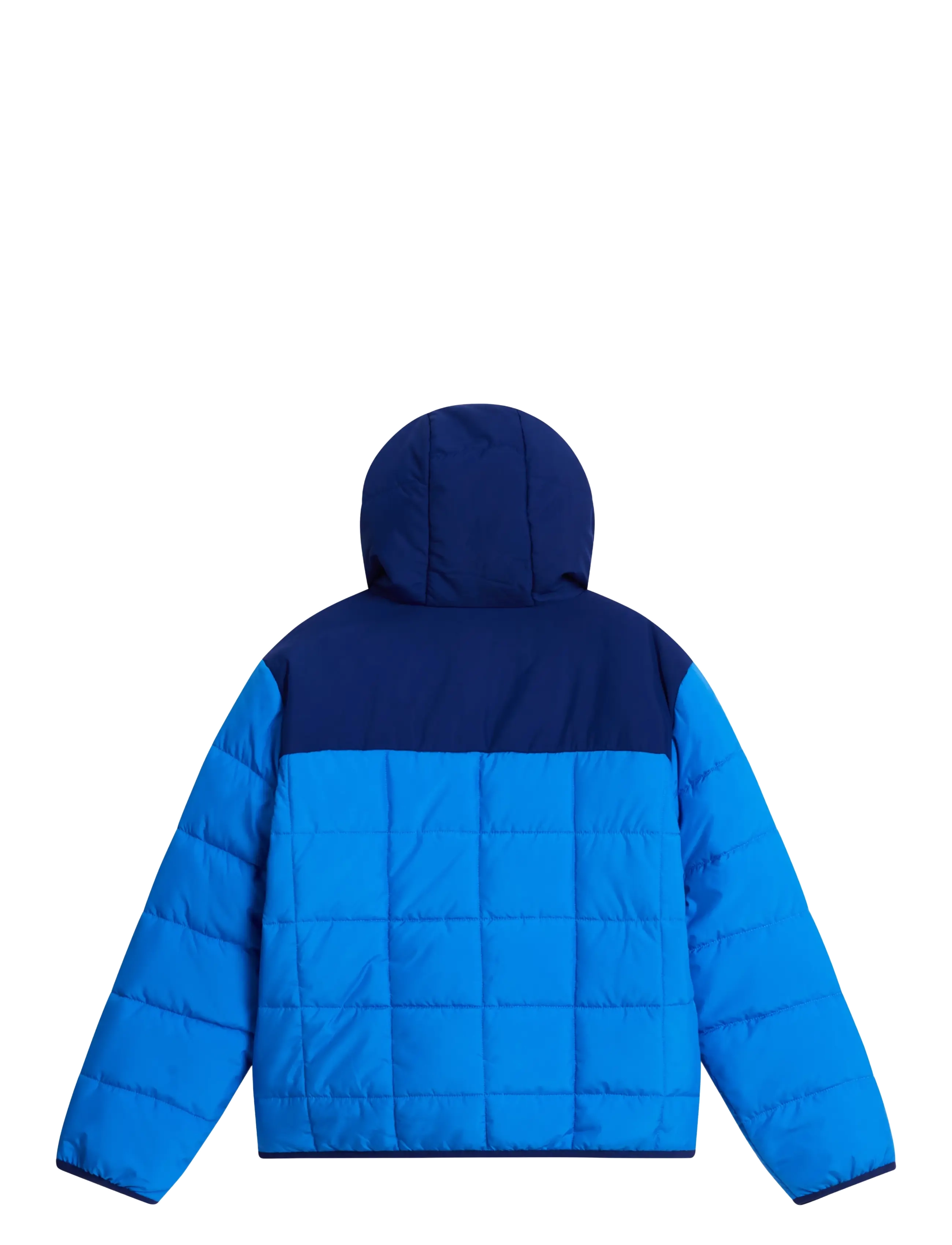 The North Face - B REVERSIBLE SHASTA FZ HOODED JACKET - quilted jackets - active blue/bold blue - 2