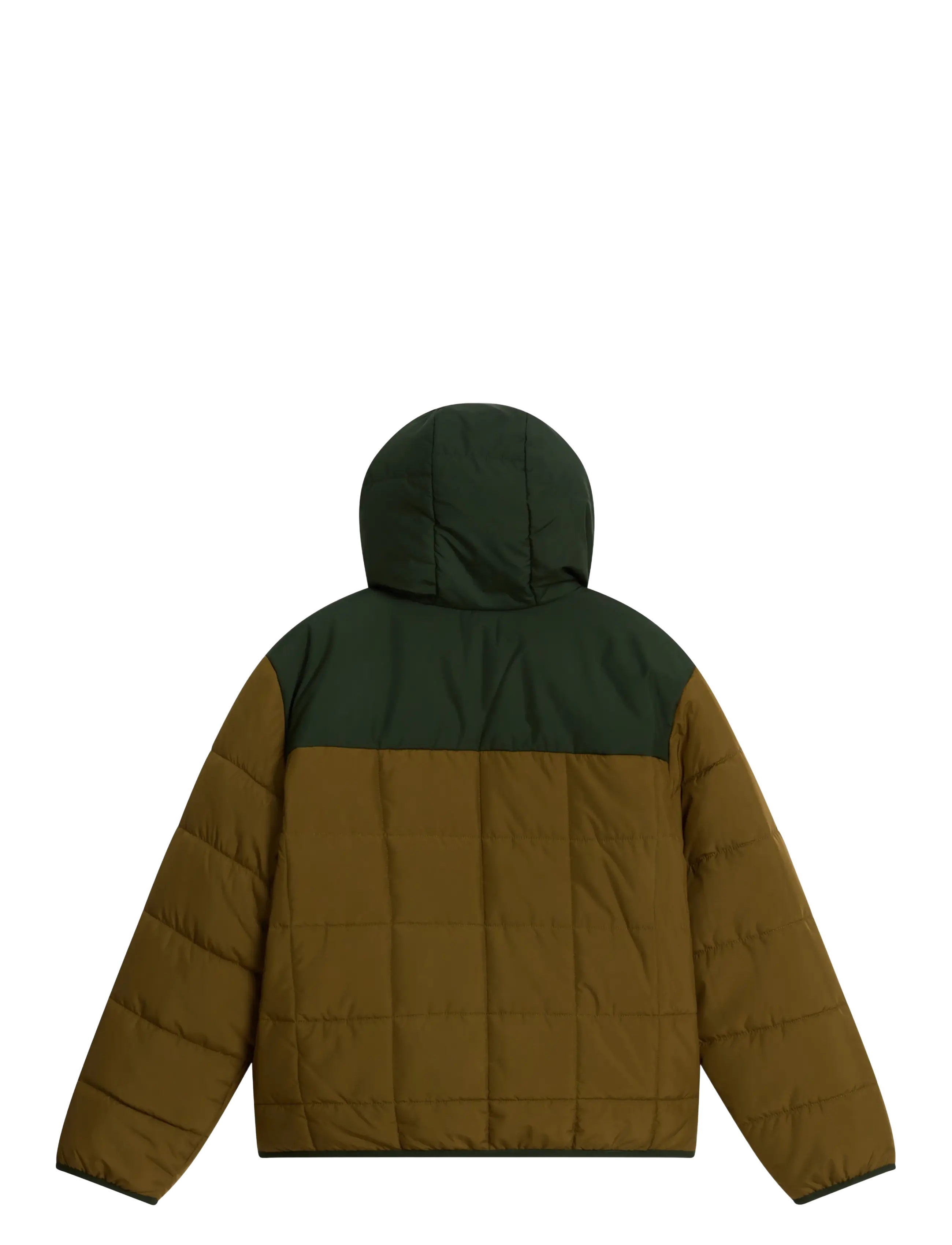 The North Face - B REVERSIBLE SHASTA FZ HOODED JACKET - steppjacken - caraway seed/bottle gre - 2