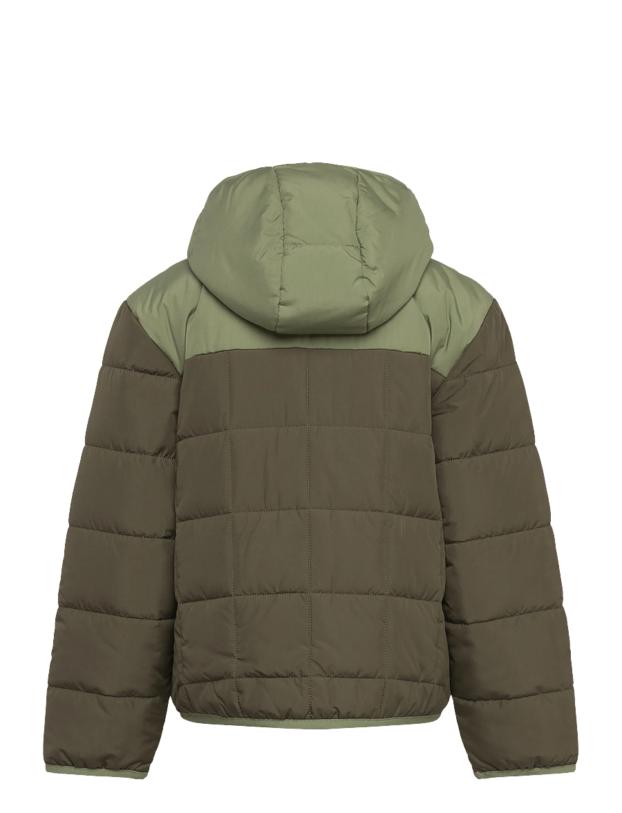 The North Face - B REVERSIBLE SHASTA FZ HOODED JACKET - steppjacken - new taupe green/bark mi - 2