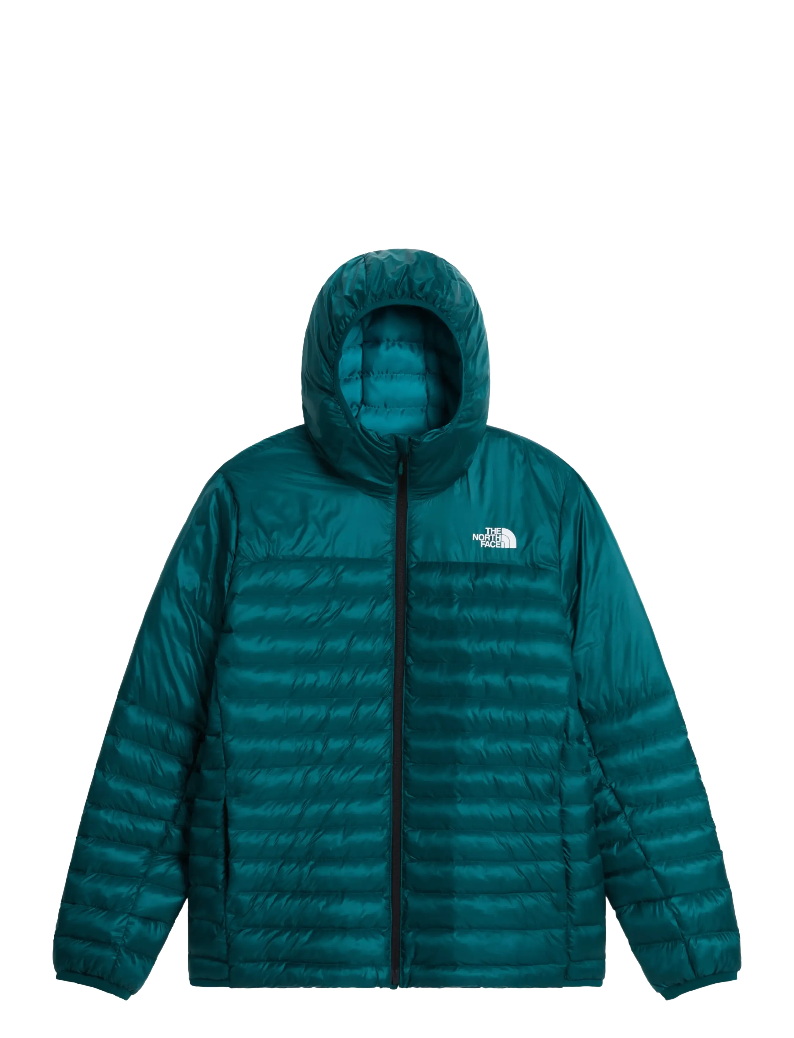 The North Face M TERRA PEAK HOODIE - Daunenjacken - PACIFIC TEAL/RESTORATIV / blue