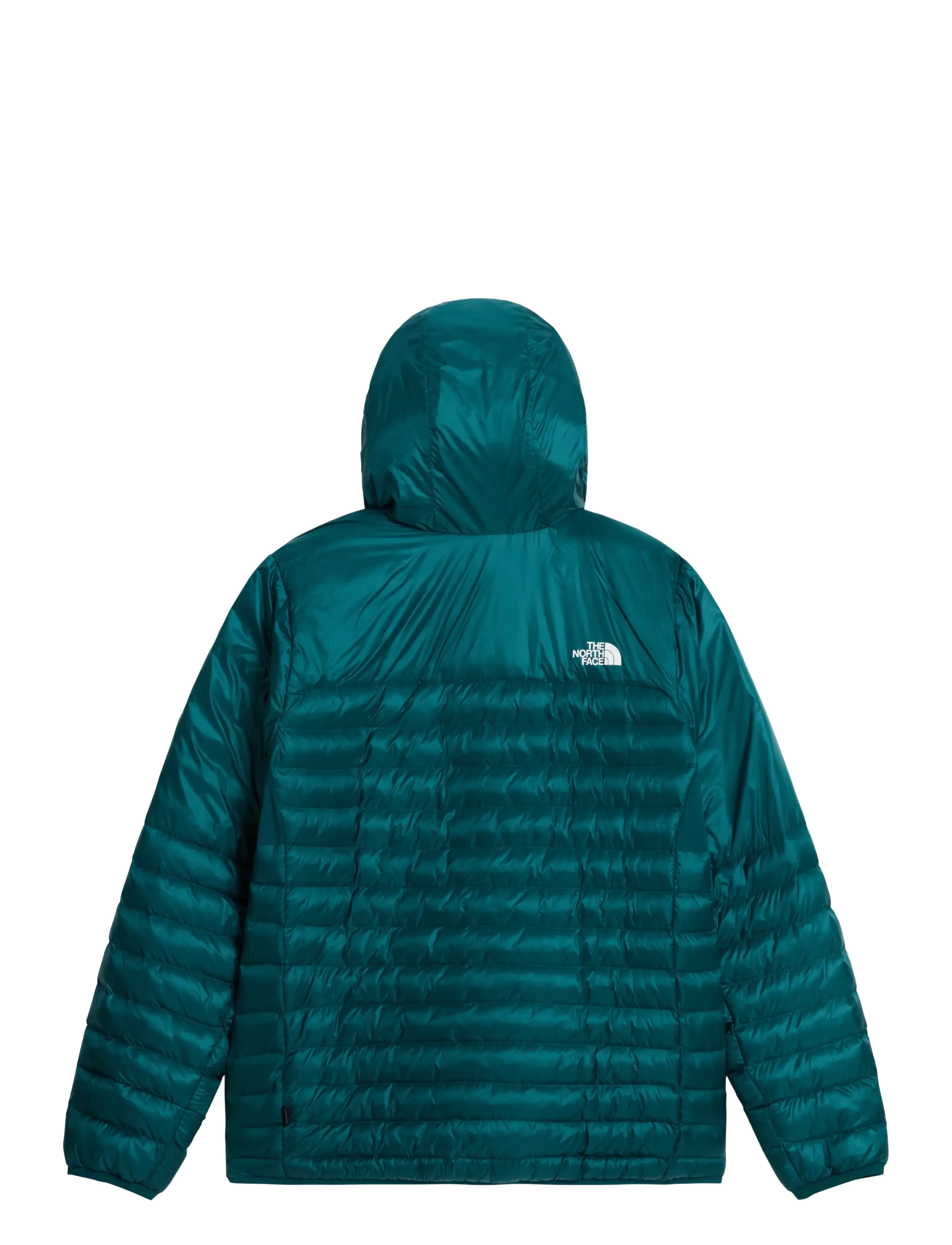 The North Face - M TERRA PEAK HOODIE - daunenjacken - pacific teal/restorativ - 2