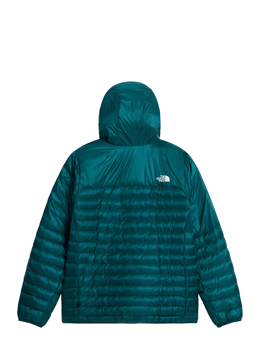 The North Face - M TERRA PEAK HOODIE - daunenjacken - pacific teal/restorativ - 2