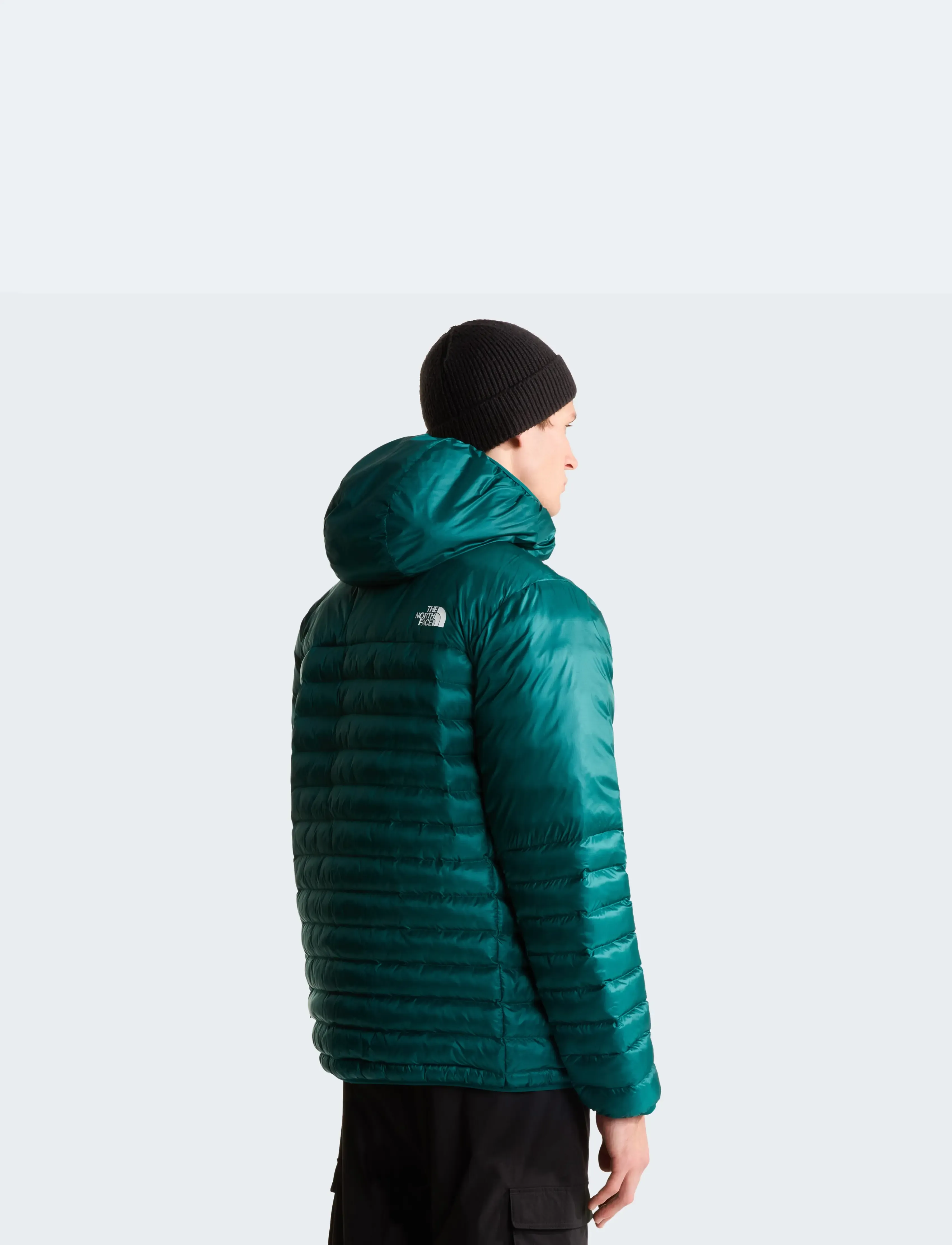 The North Face - M TERRA PEAK HOODIE - daunenjacken - pacific teal/restorativ - 5