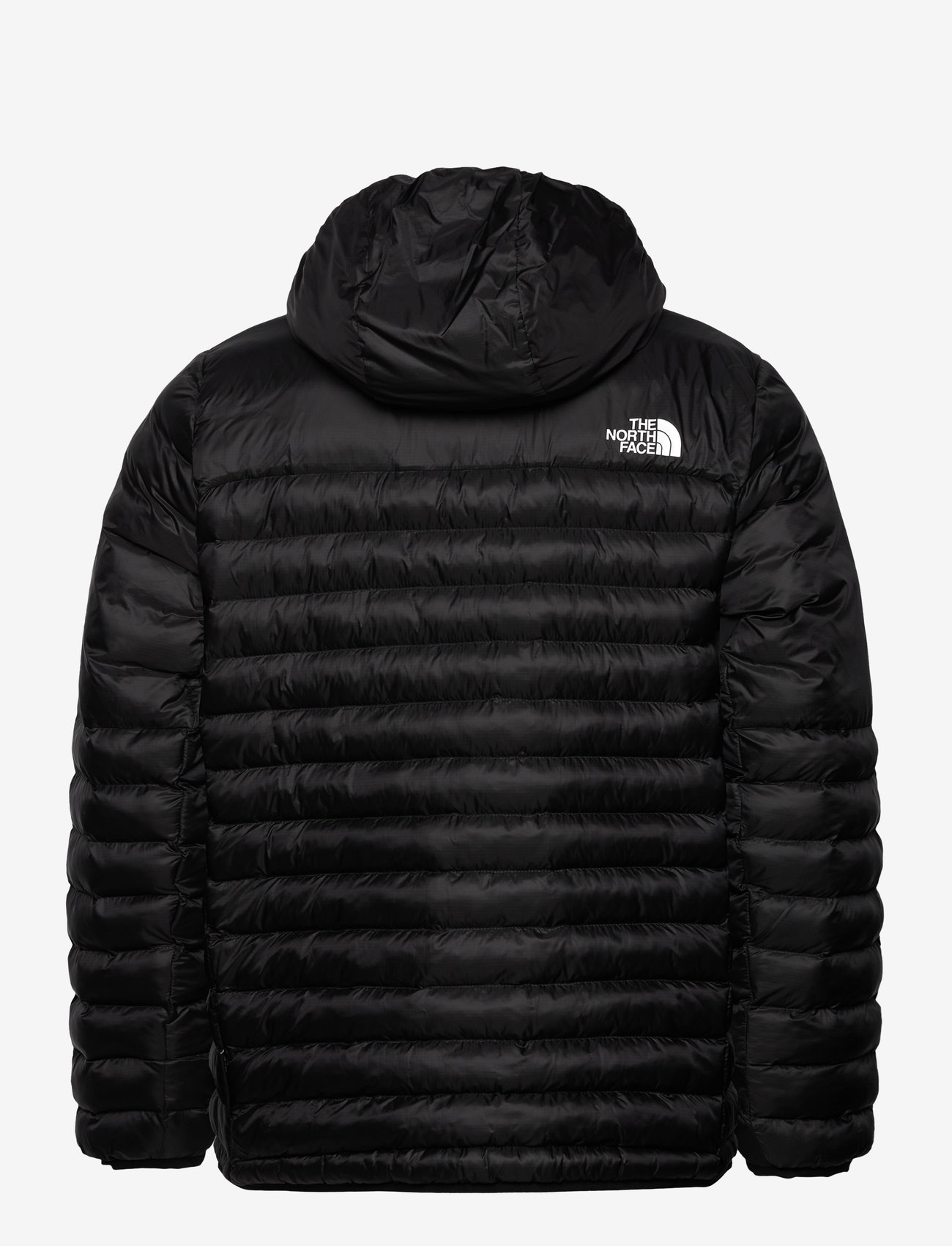 The North Face M Terra Peak Hoodie (TNFNF0A88TV) Down jackets