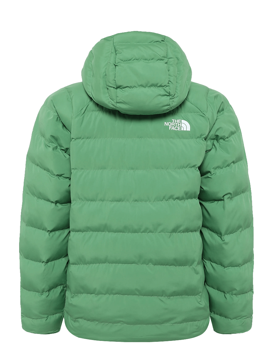 The North Face - B REVERSIBLE PERRITO HOODED JACKET - isolierte jacken - dimmed algae - 2