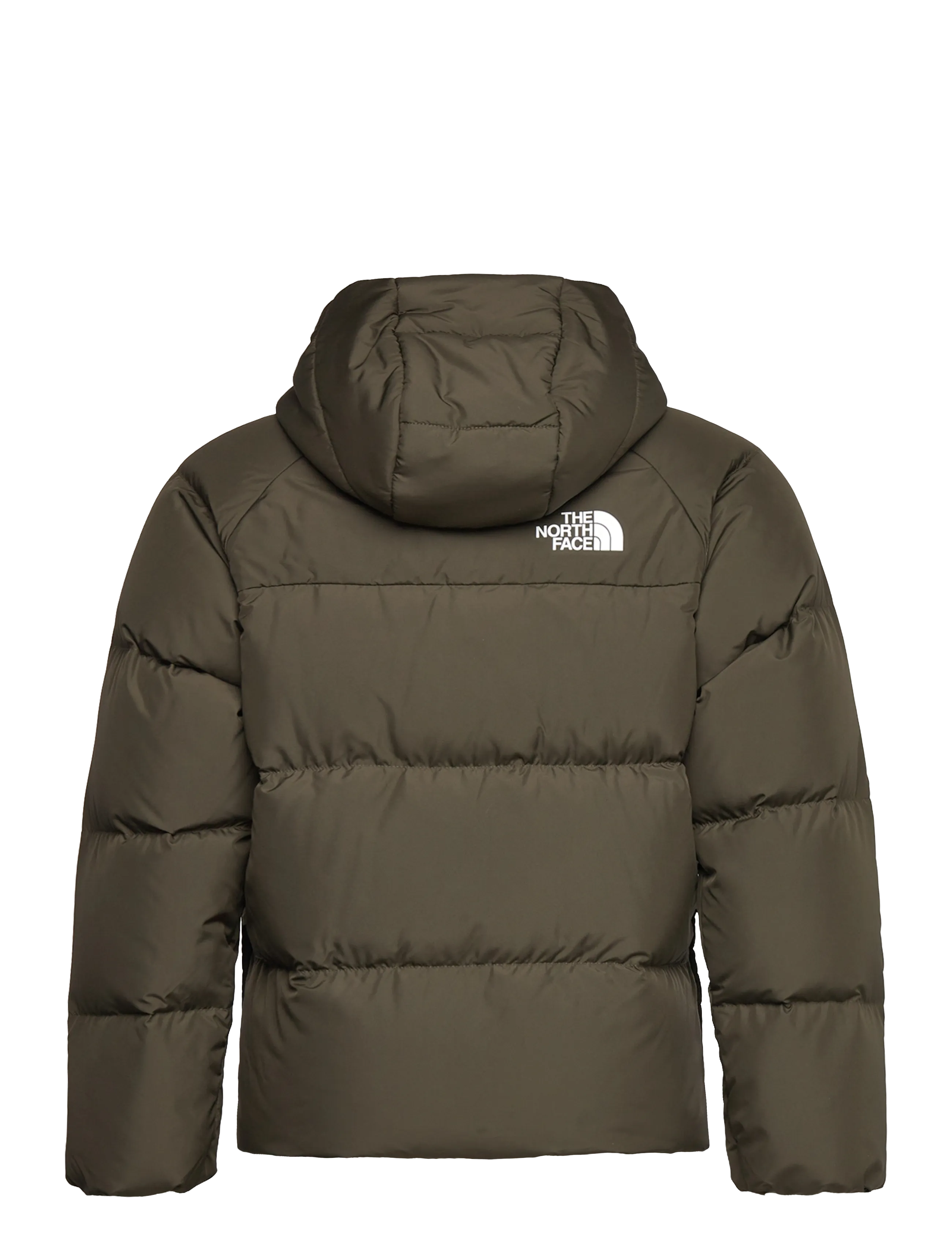 The North Face - B NORTH DOWN HOODED JACKET - jakas ar siltu oderi - new taupe green - 2