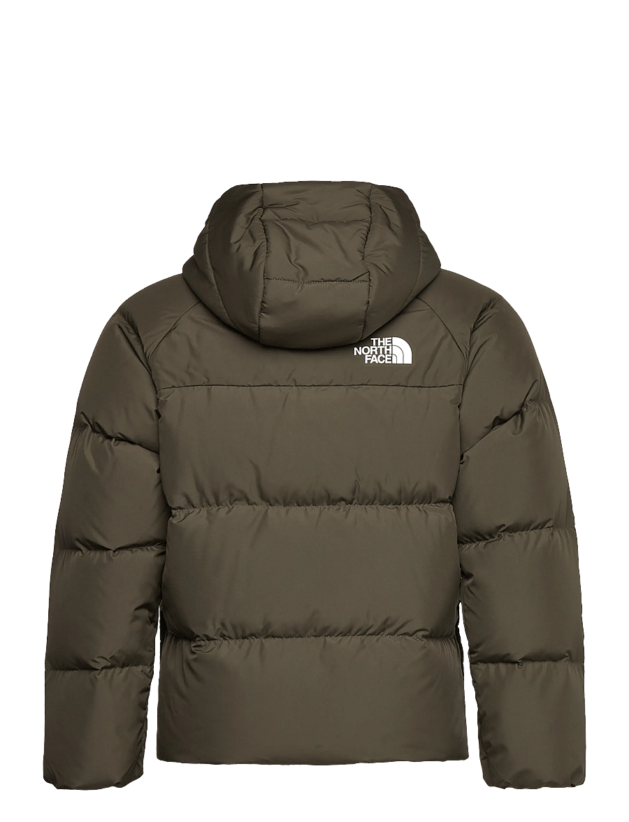 The North Face - B NORTH DOWN HOODED JACKET - jakas ar siltu oderi - new taupe green - 2