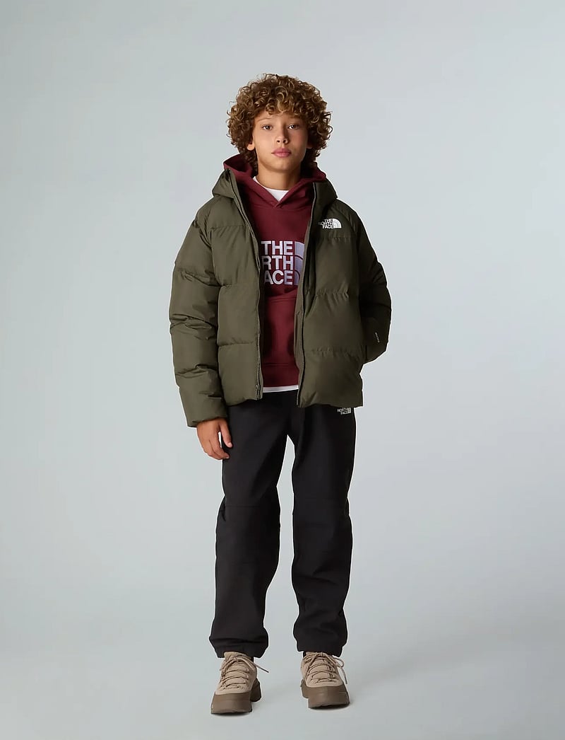 The North Face - B NORTH DOWN HOODED JACKET - paksud joped - new taupe green - 3