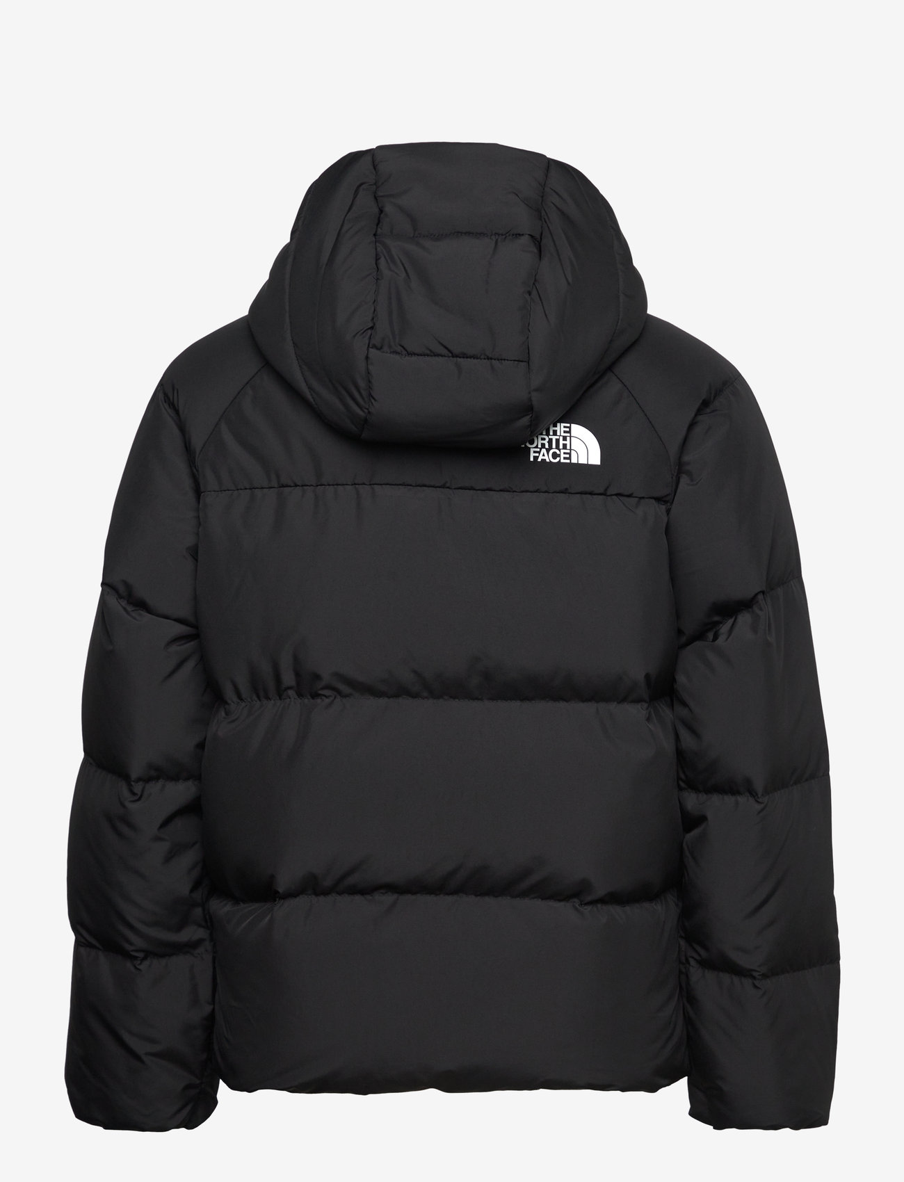The North Face - B NORTH DOWN HOODED JACKET - Üleriided - tnf black - 2
