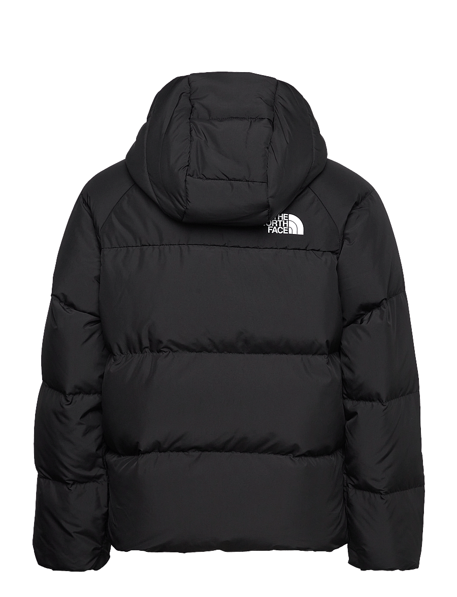 The North Face - B NORTH DOWN HOODED JACKET - striukės su izoliacija - tnf black - 2