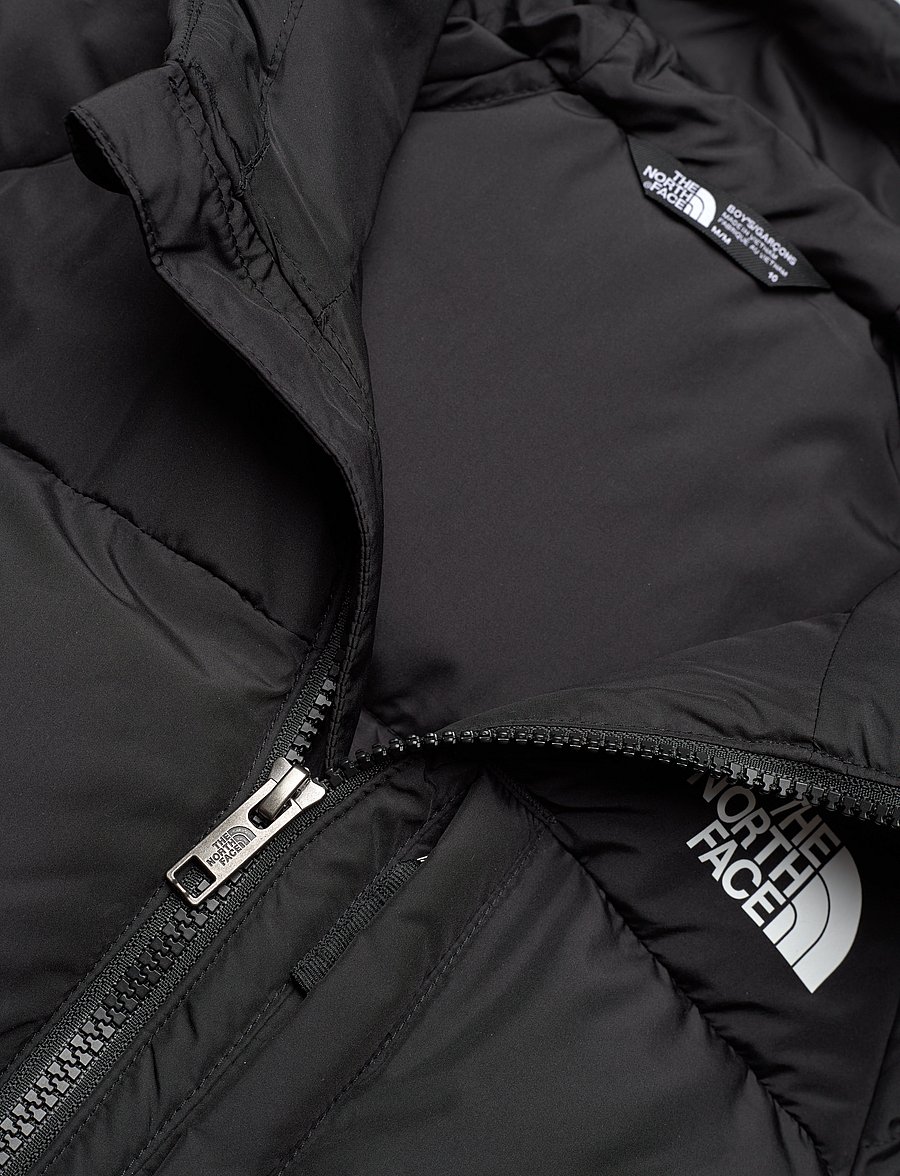 The North Face - B NORTH DOWN HOODED JACKET - striukės su izoliacija - tnf black - 4