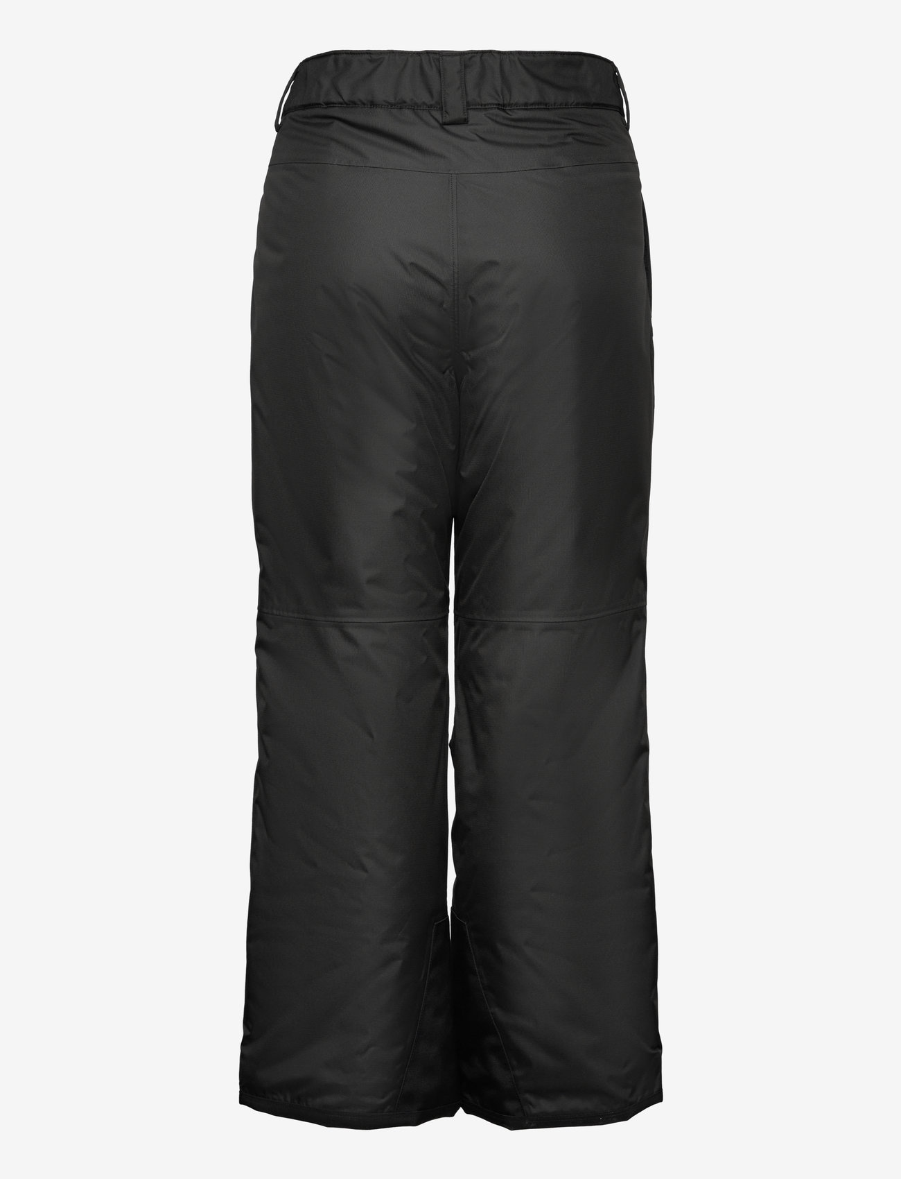 The North Face - B FREEDOM INSULATED PANT - skihosen - tnf black - 2