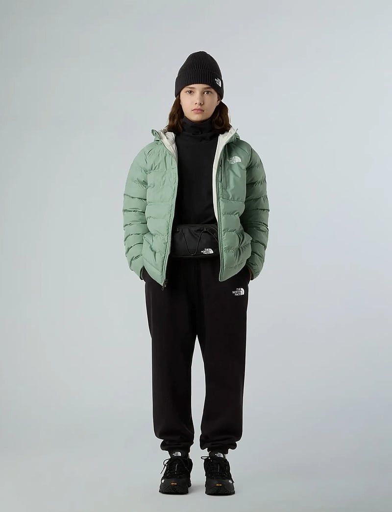 The North Face - G REVERSIBLE PERRITO HOODED JACKET - skidjackor - slate moss - 5