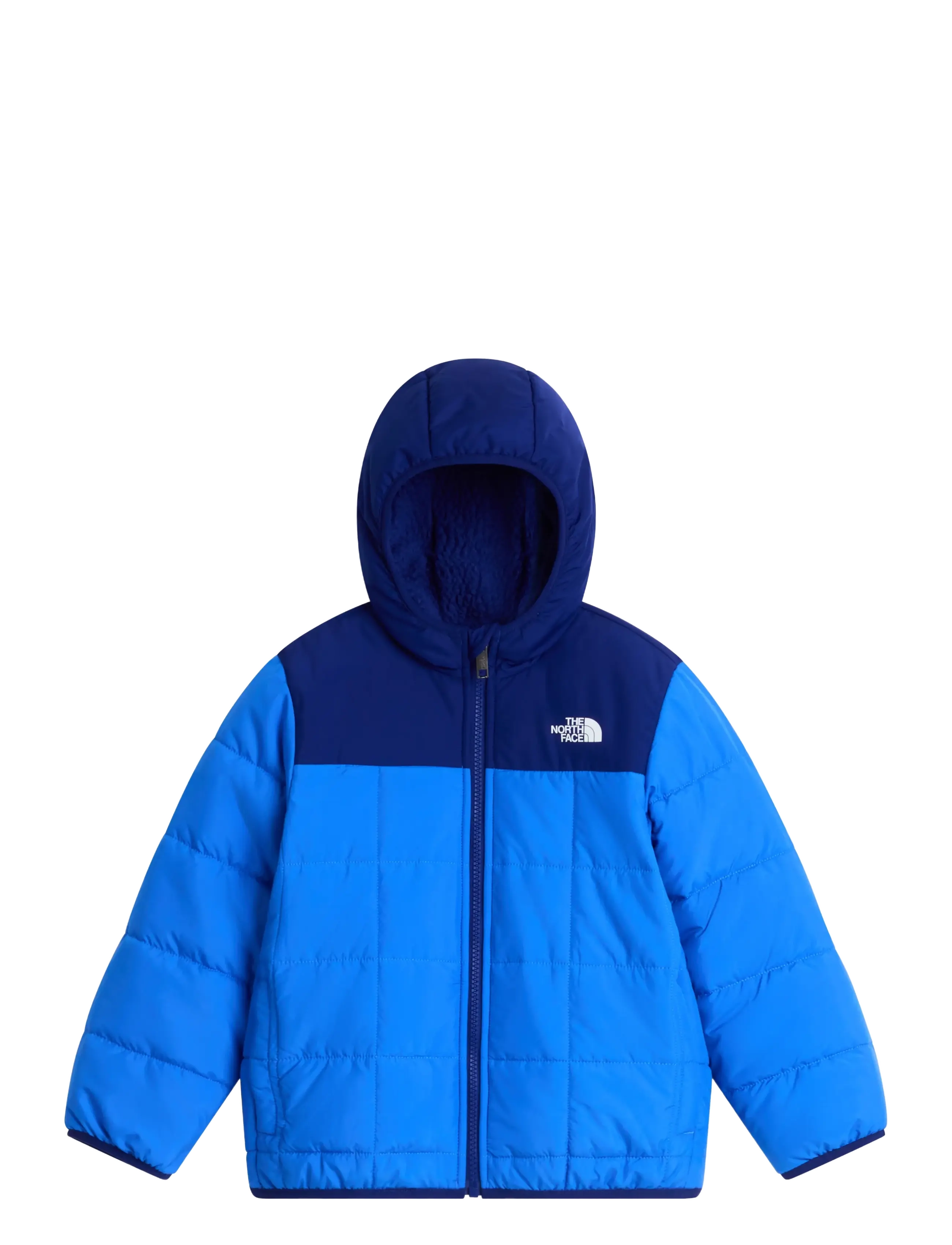The North Face KID B REVERSIBLE SHASTA F/Z HOODED JACKE - Quiltede jakker - ACTIVE BLUE/BOLD BLUE / blue