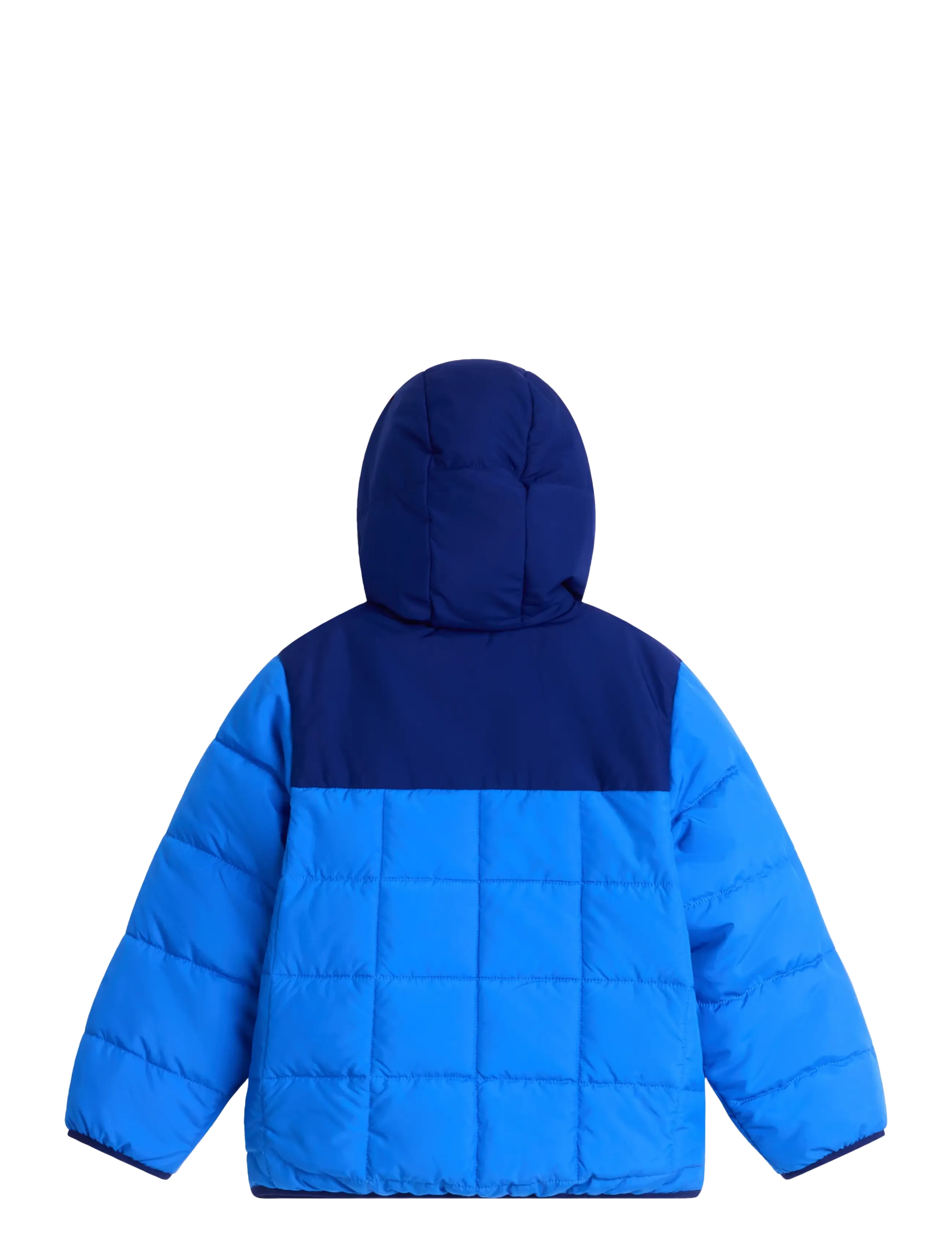 The North Face - KID B REVERSIBLE SHASTA F/Z HOODED JACKE - active blue/bold blue - 2