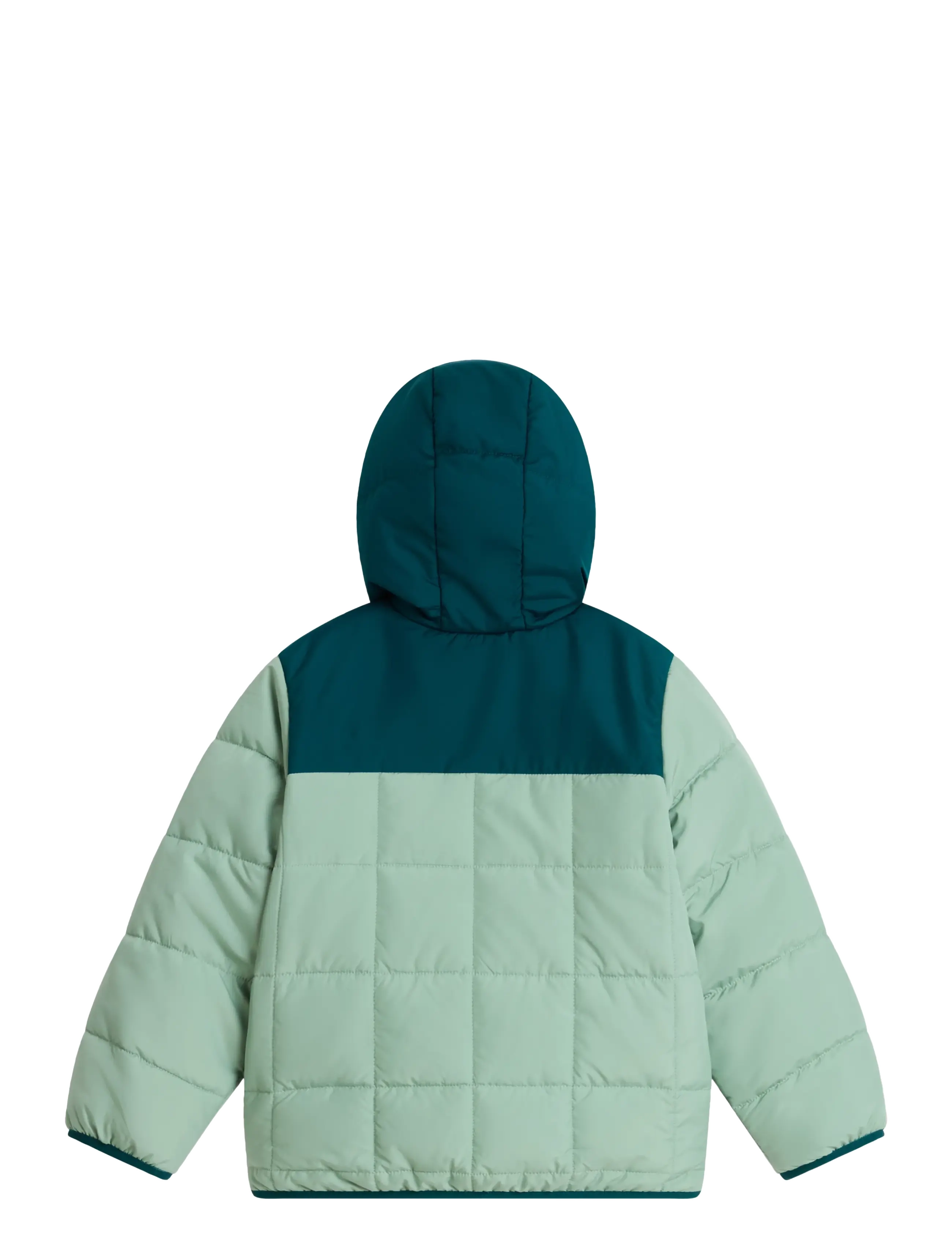 The North Face - KID B REVERSIBLE SHASTA F/Z HOODED JACKE - slate moss/pacific teal - 2