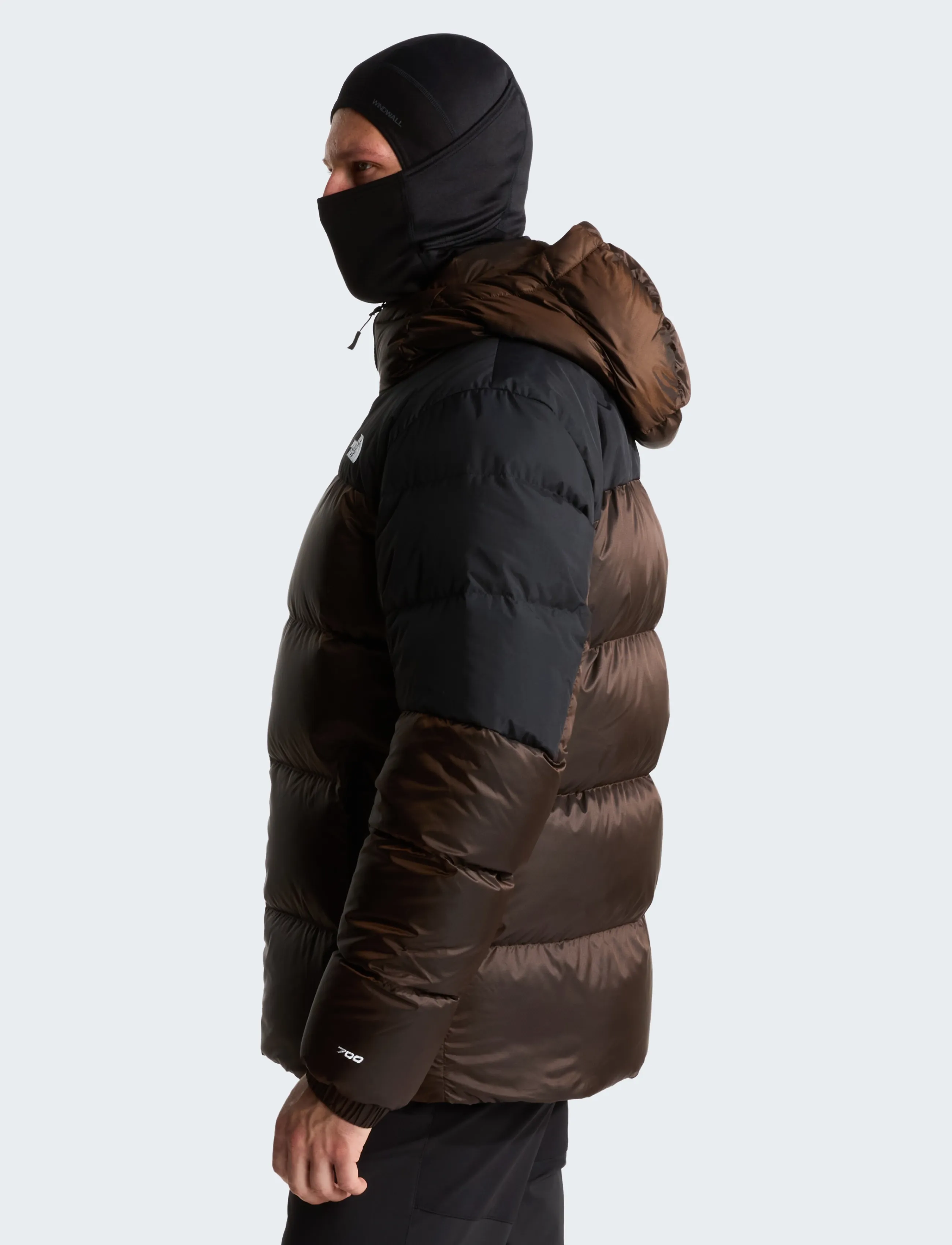 The North Face - M DIABLO DOWN 2.0 HOODIE - daunenjacken - dark chestnut black hea - 4