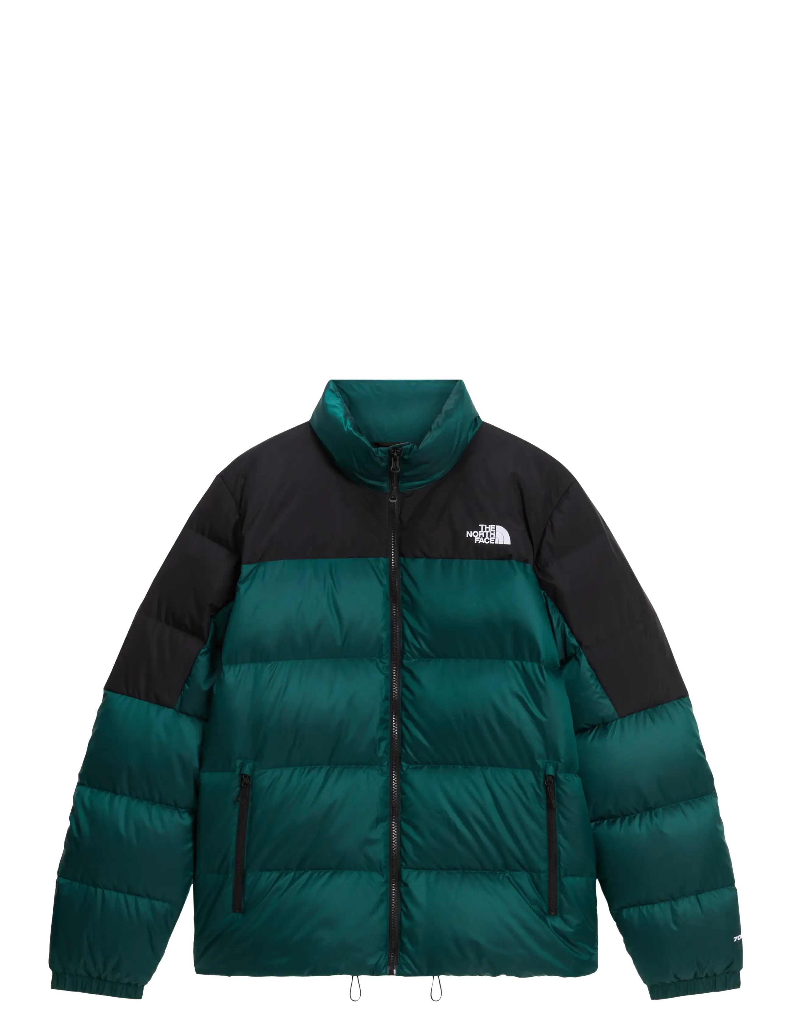 PACIFIC TEAL BLACK HEAT