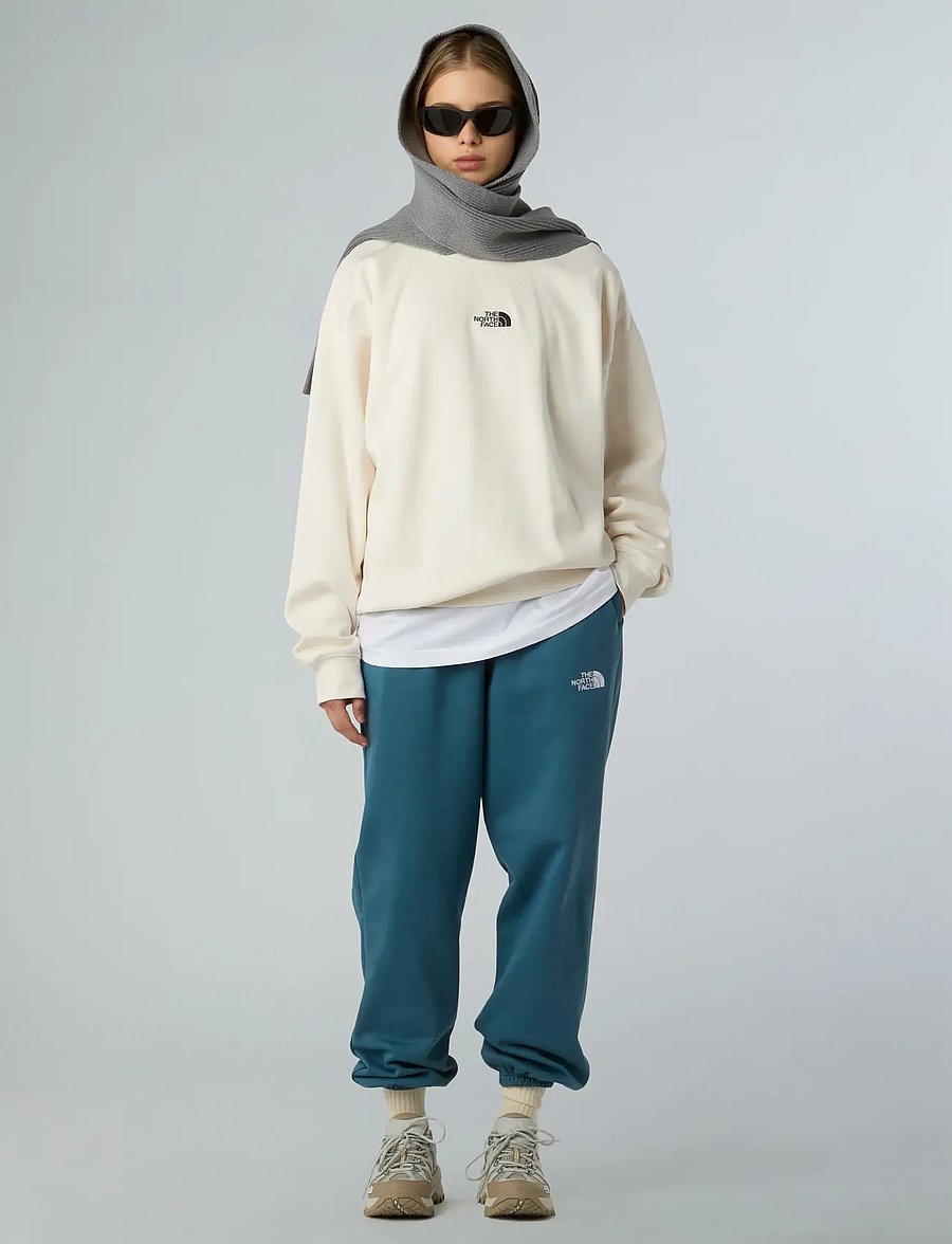 The North Face - W ESSENTIAL OVERSIZE CREW - megztiniai ir džemperiai - white dune - 3