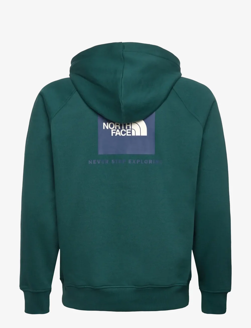 The North Face - M RAGLAN BOX NSE REGULAR HOODIE - oberteile - green - 1