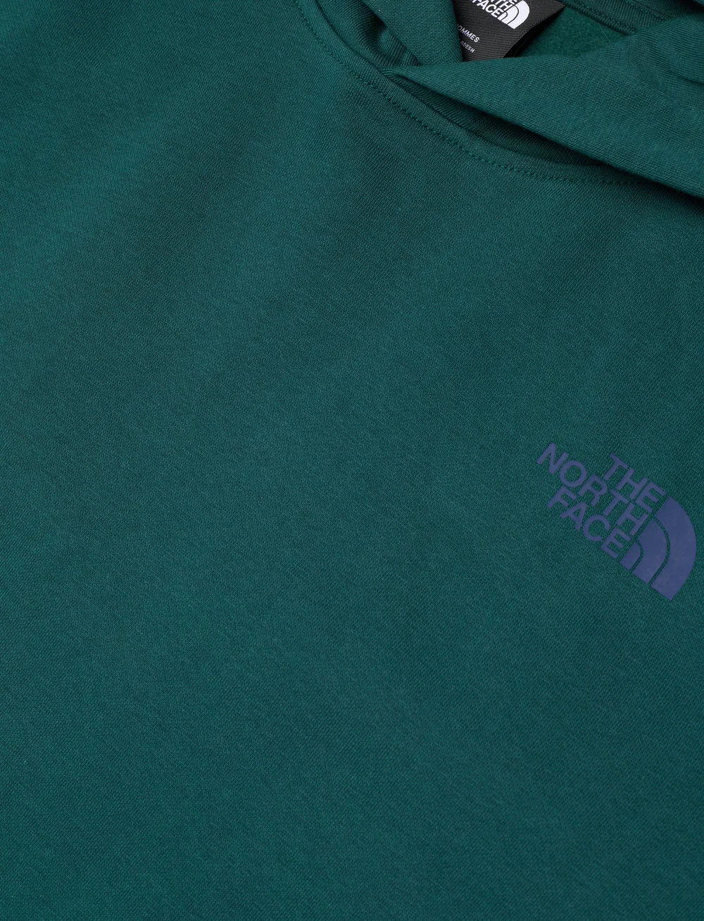 The North Face - M RAGLAN BOX NSE REGULAR HOODIE - oberteile - green - 2