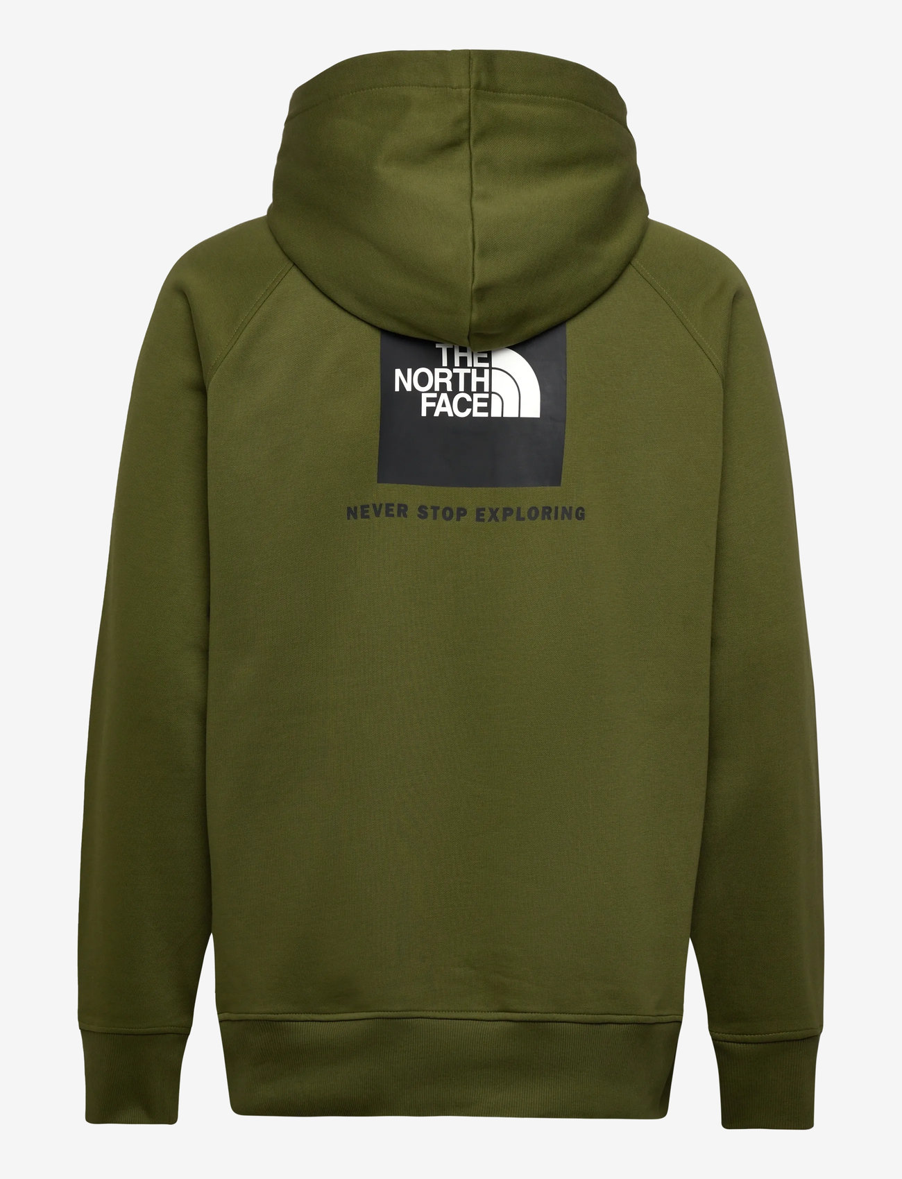 The North Face - M RAGLAN BOX NSE REGULAR HOODIE - oberteile - woodland green/tnf blac - 2