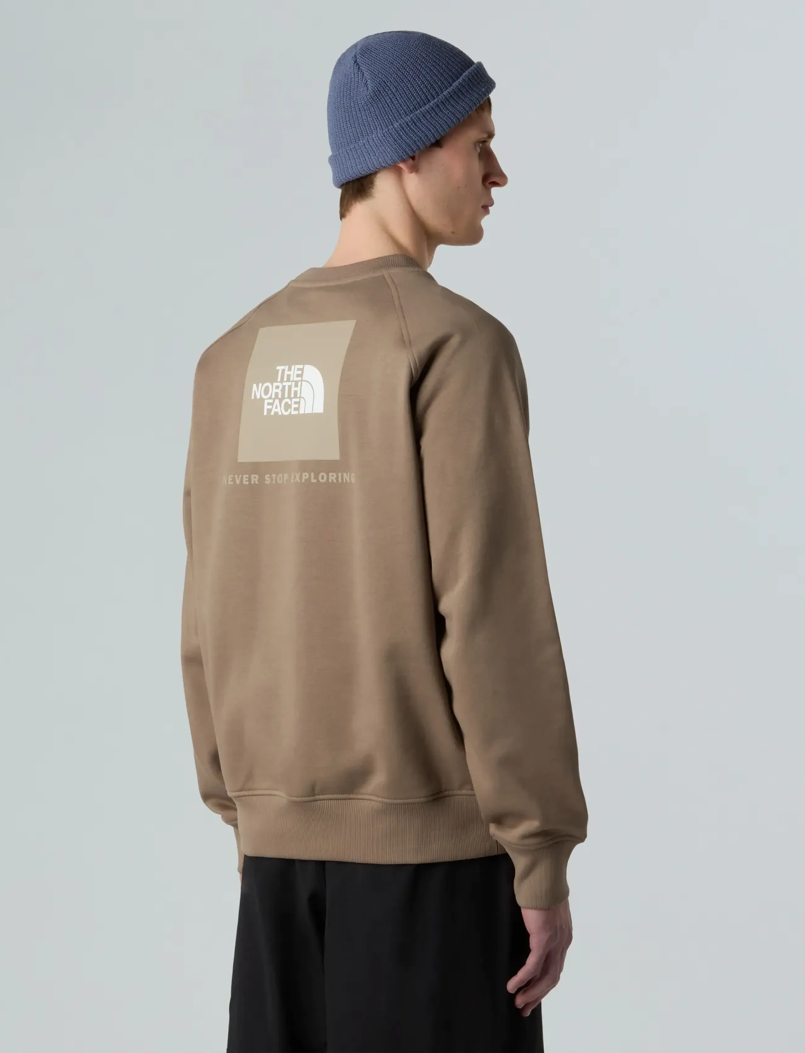 The North Face M RAGLAN BOX NSE CREW - Streetwear - MOCHA BROWN/MUSHROOM GR / brown
