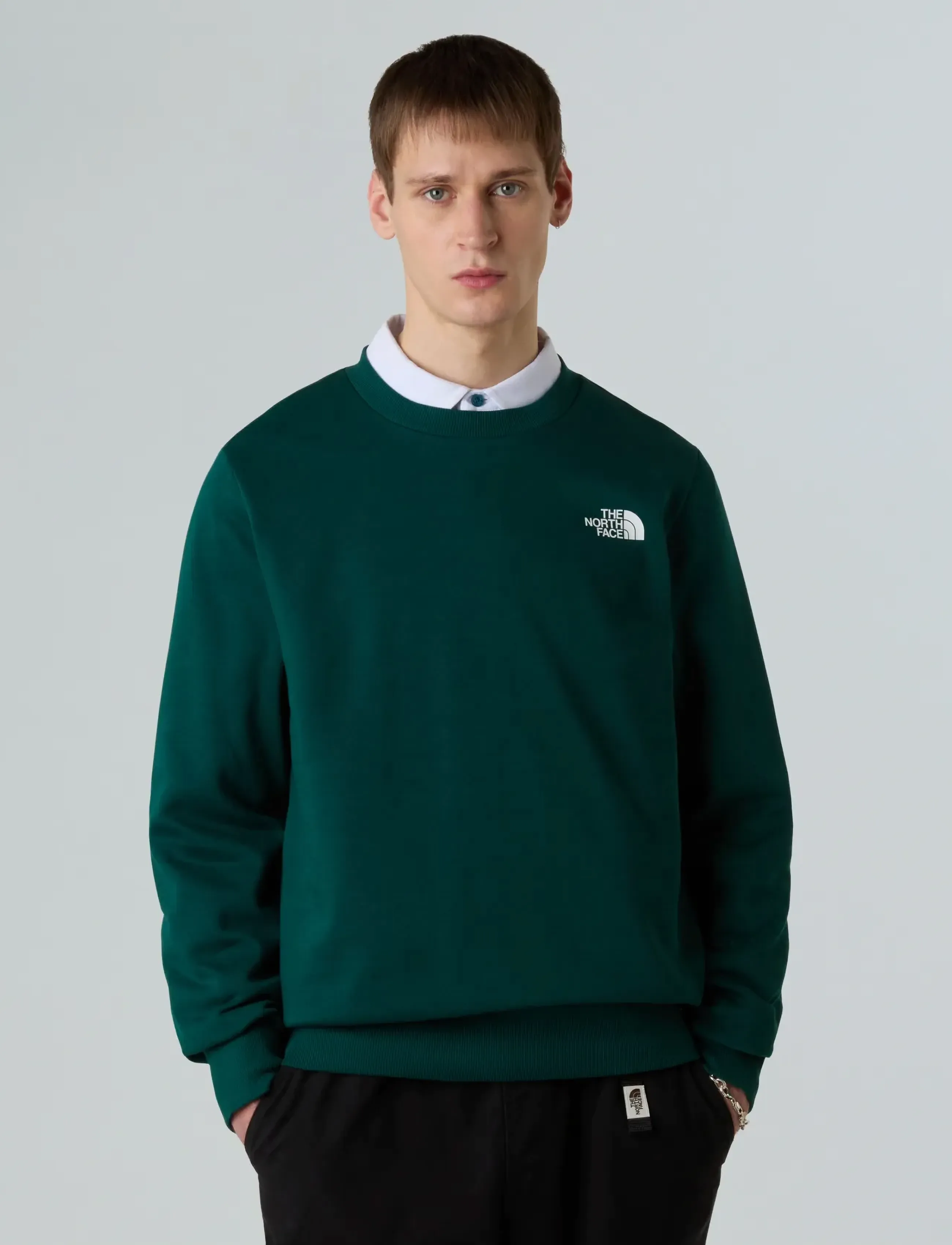The North Face M SIMPLE DOME CREW - Dressipluusid - HUNTER GREEN / green