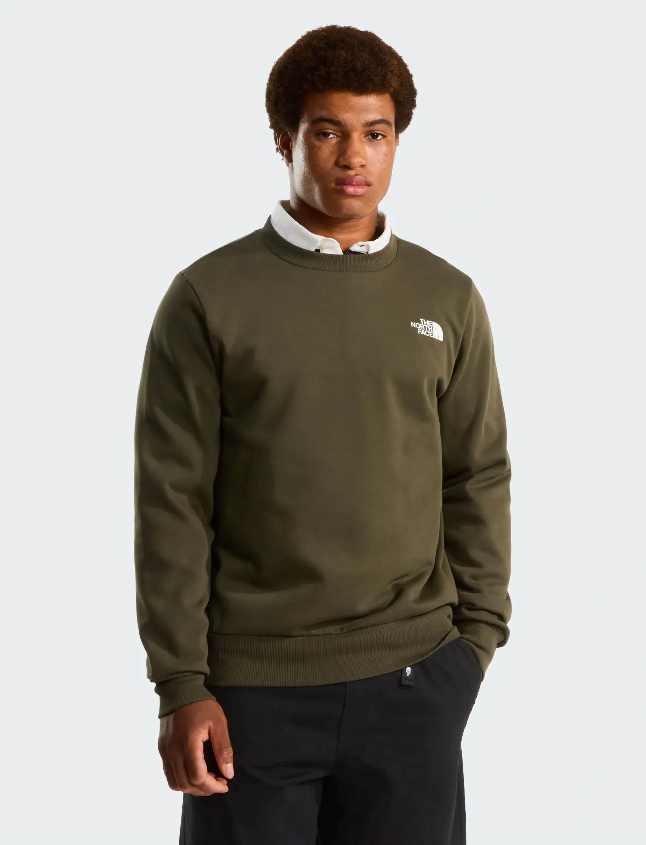 The North Face M SIMPLE DOME REGULAR CREW - Sweatshirts - NEW TAUPE GREEN / khaki/green