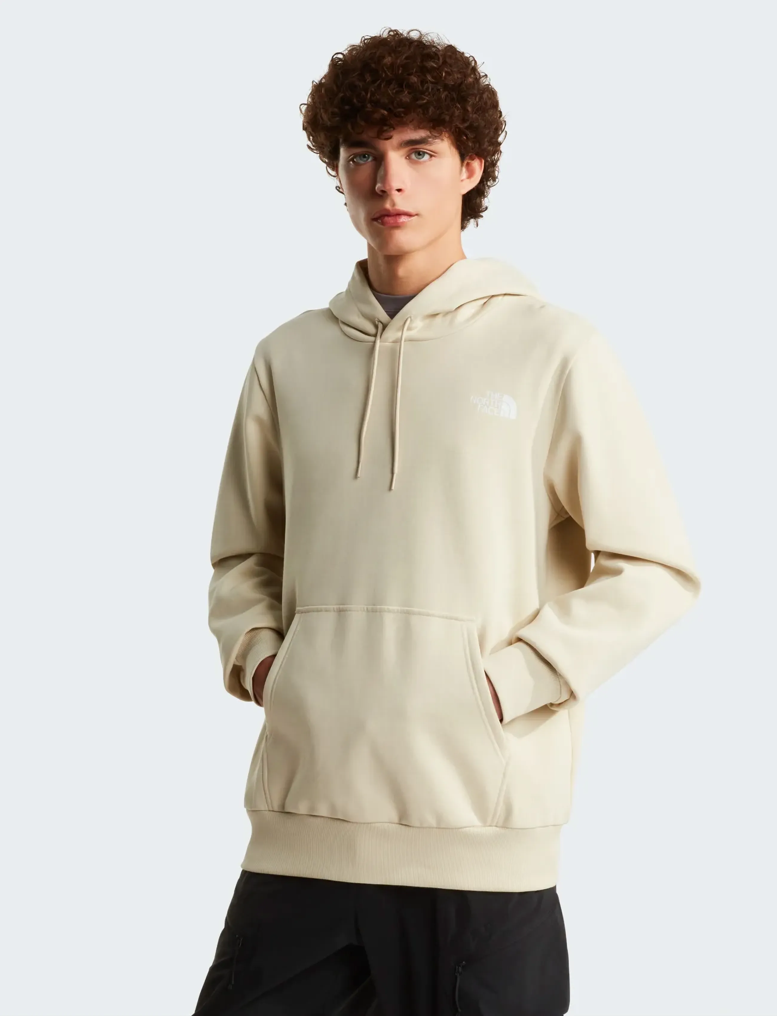 The North Face M SIMPLE DOME HOODIE - Dressipluusid - DESERT STONE / beige