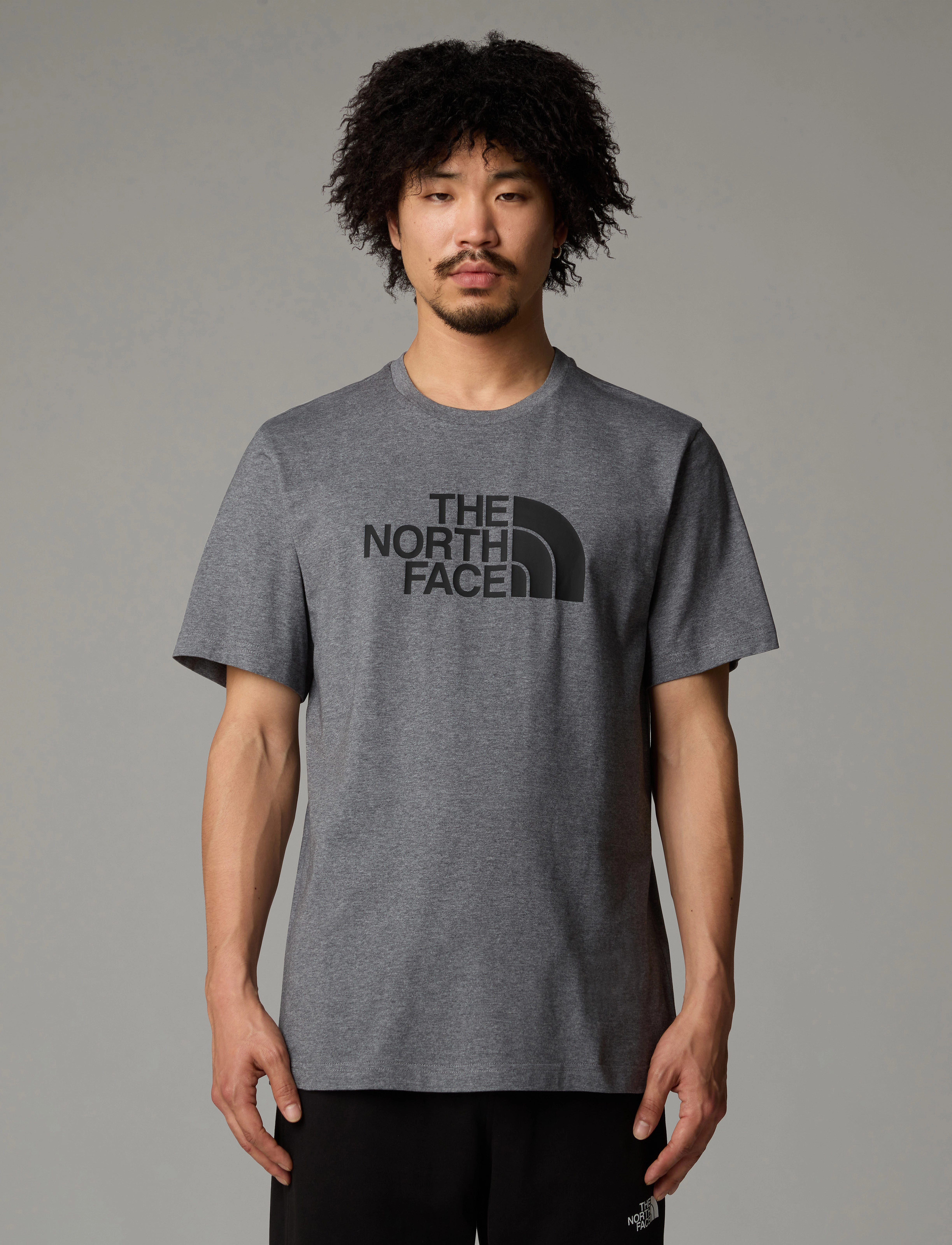 The North Face M Ss Easy Tee, Mænd, T-Shirt, Grå, Str: XS